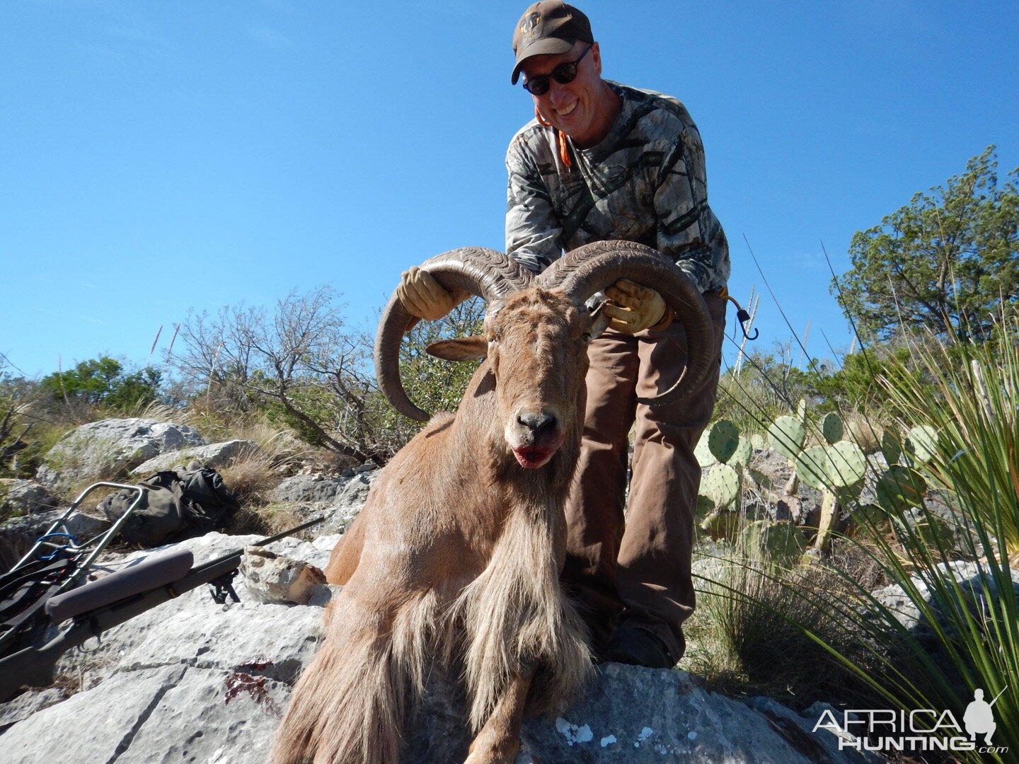 Aoudad Sheep Hunt