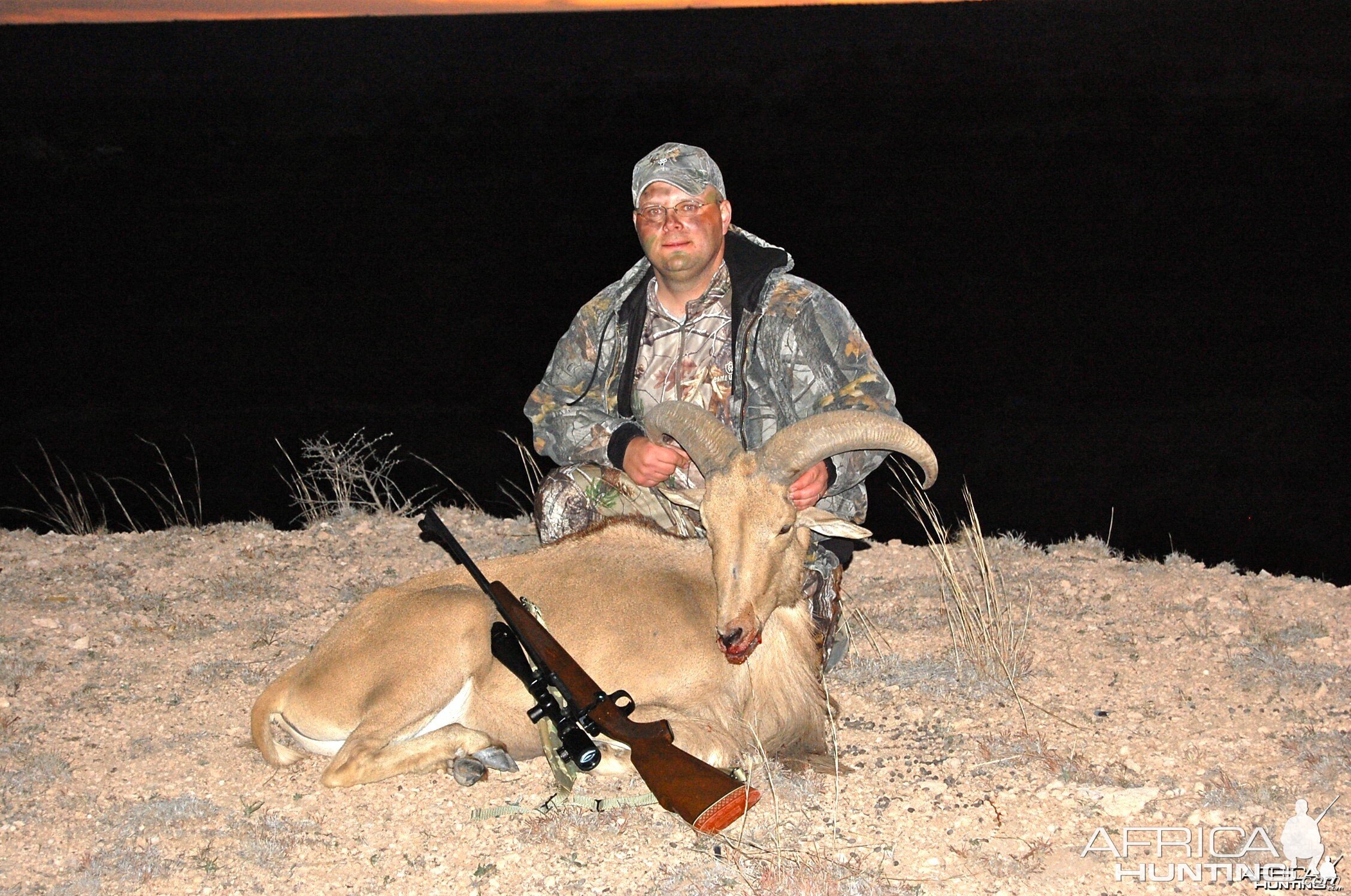 Aoudad