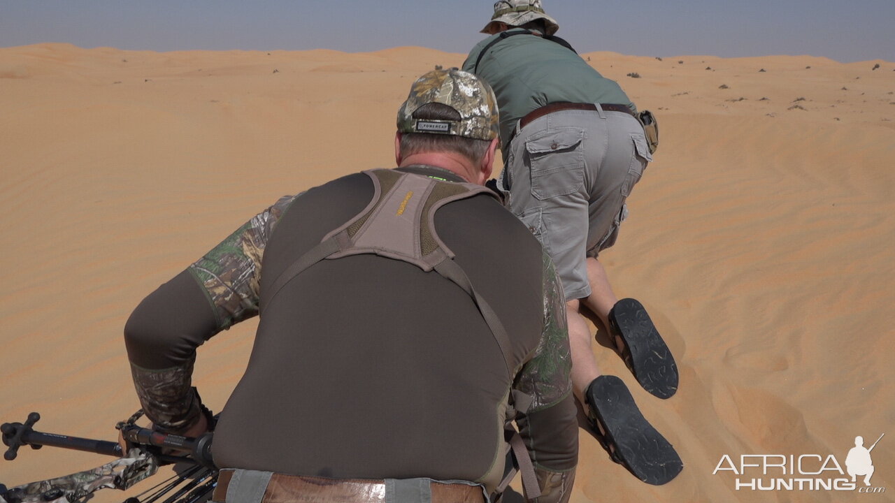 Arabian Oryx Bow Hunting United Arab Emirates