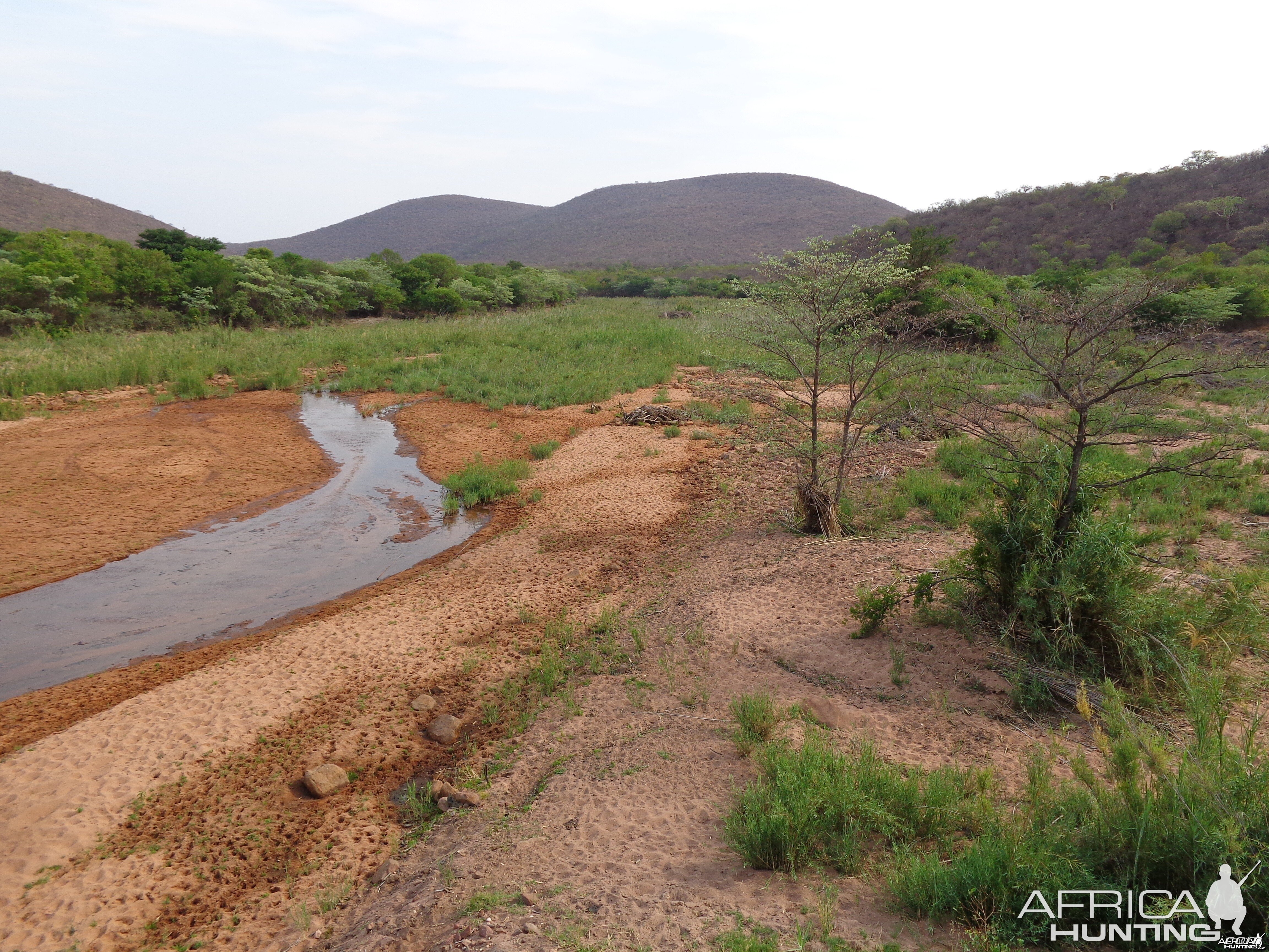 Arc Africa Hunting Safaris - Waterberg Concession