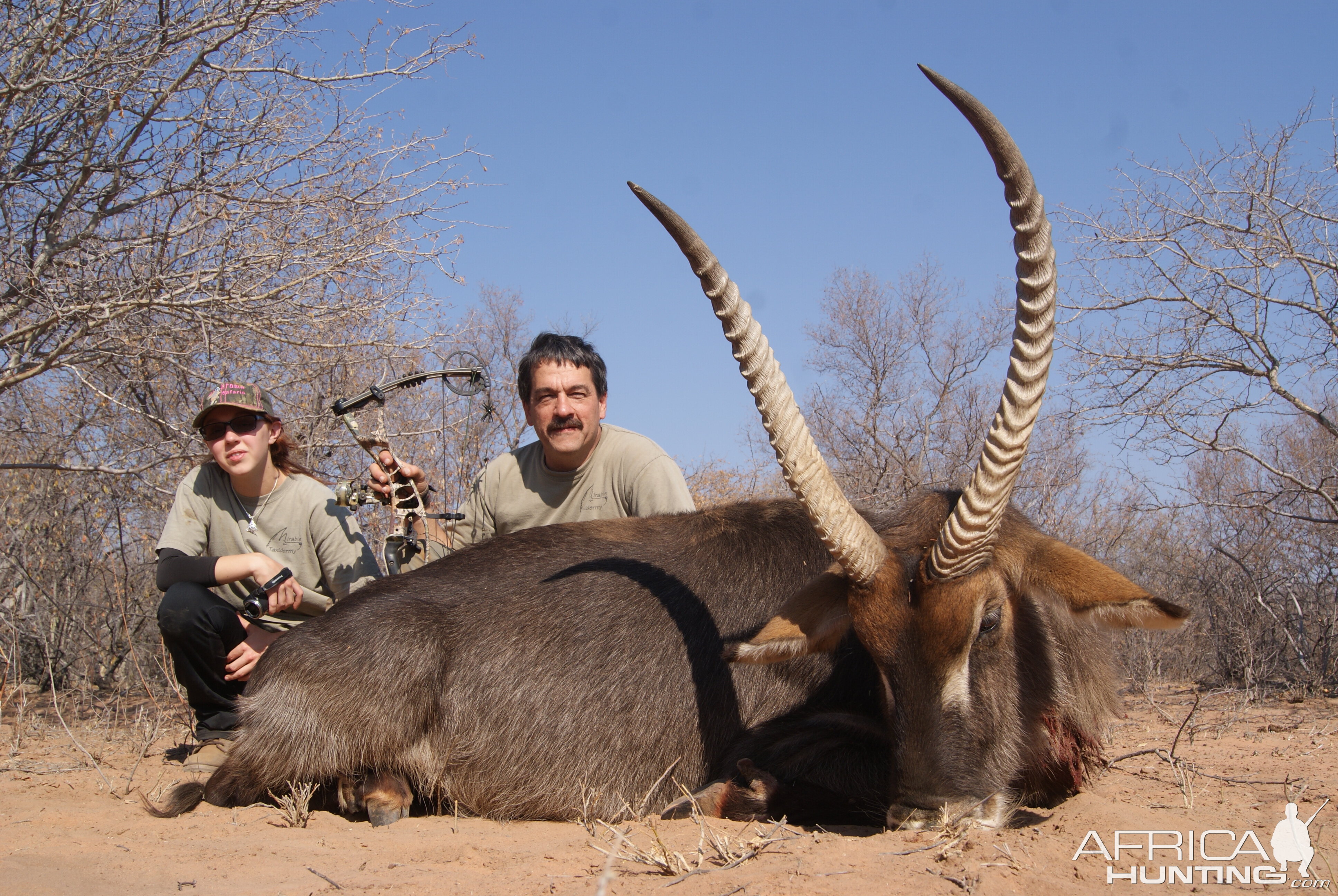 Archery waterbuck with Limcroma Safaris