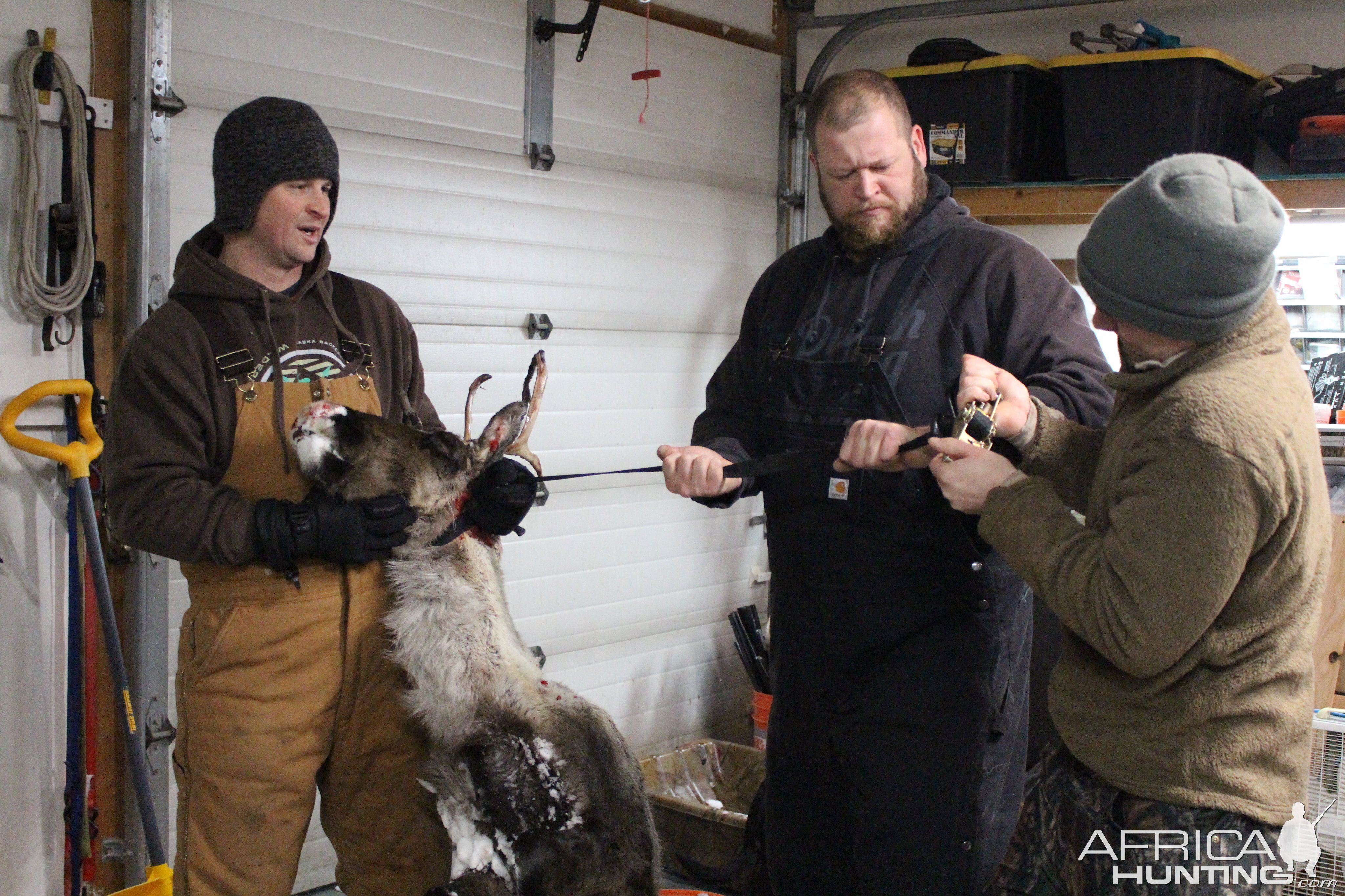 Arctic Caribou Hunt In 22 Below Zero Feirenhight Temps