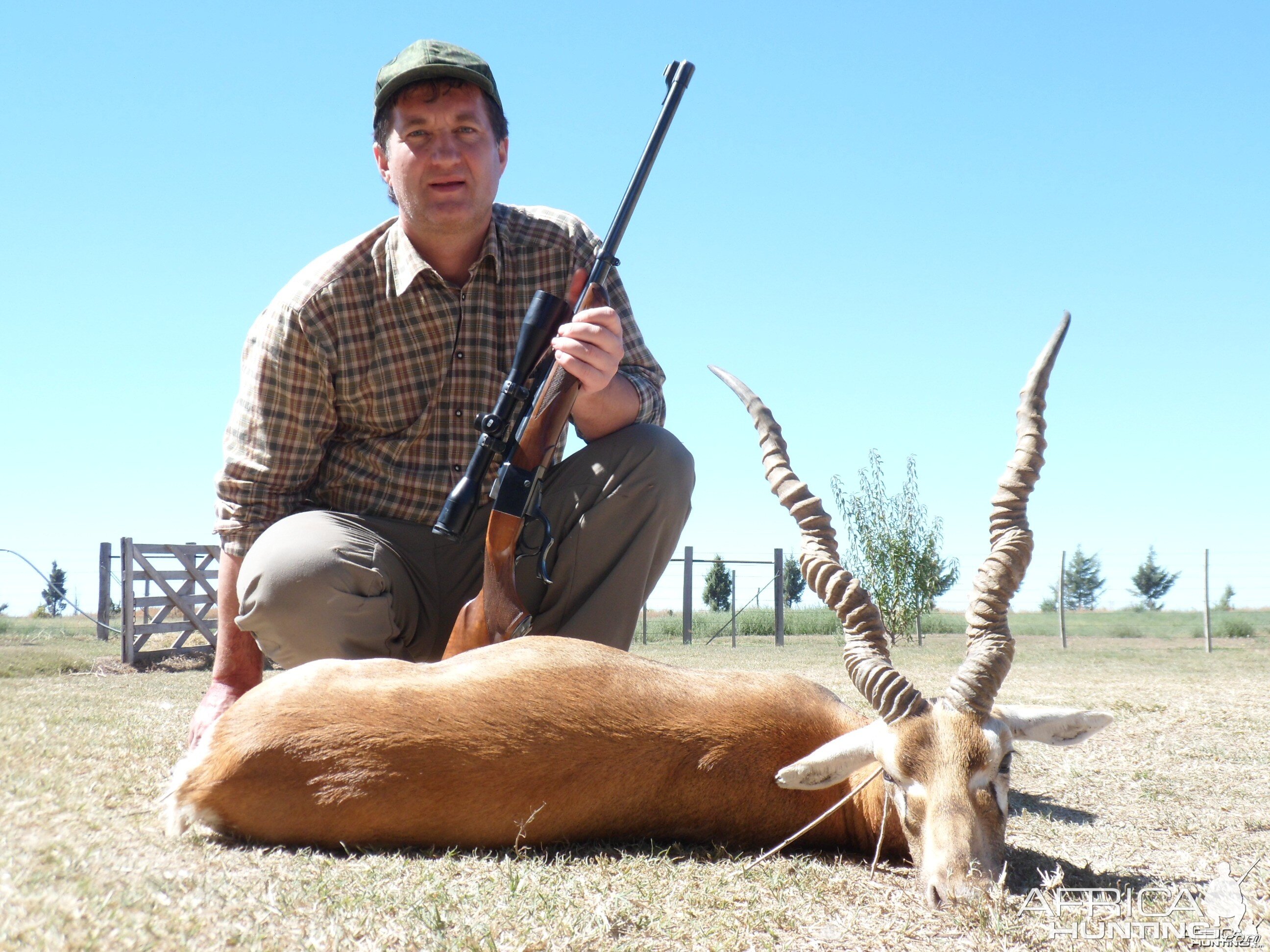 Argentina Black Buck