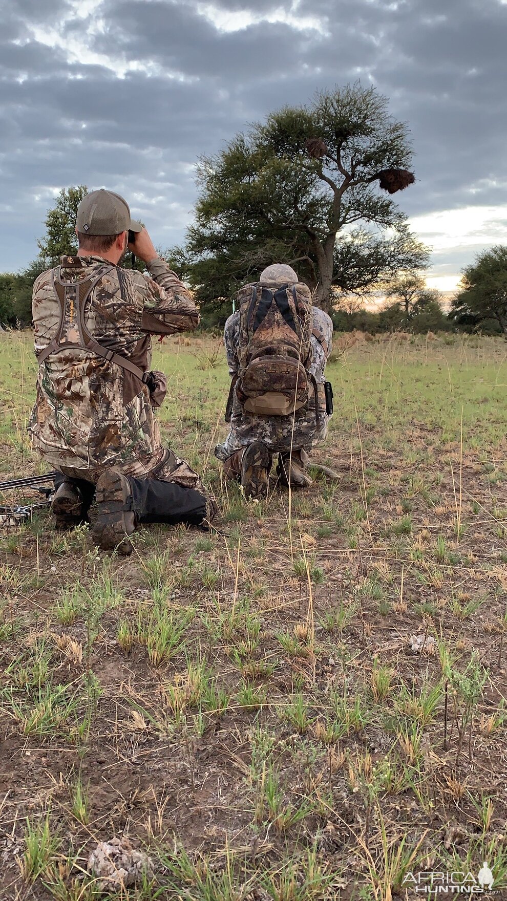 Argentina Bow Hunt Red Stag