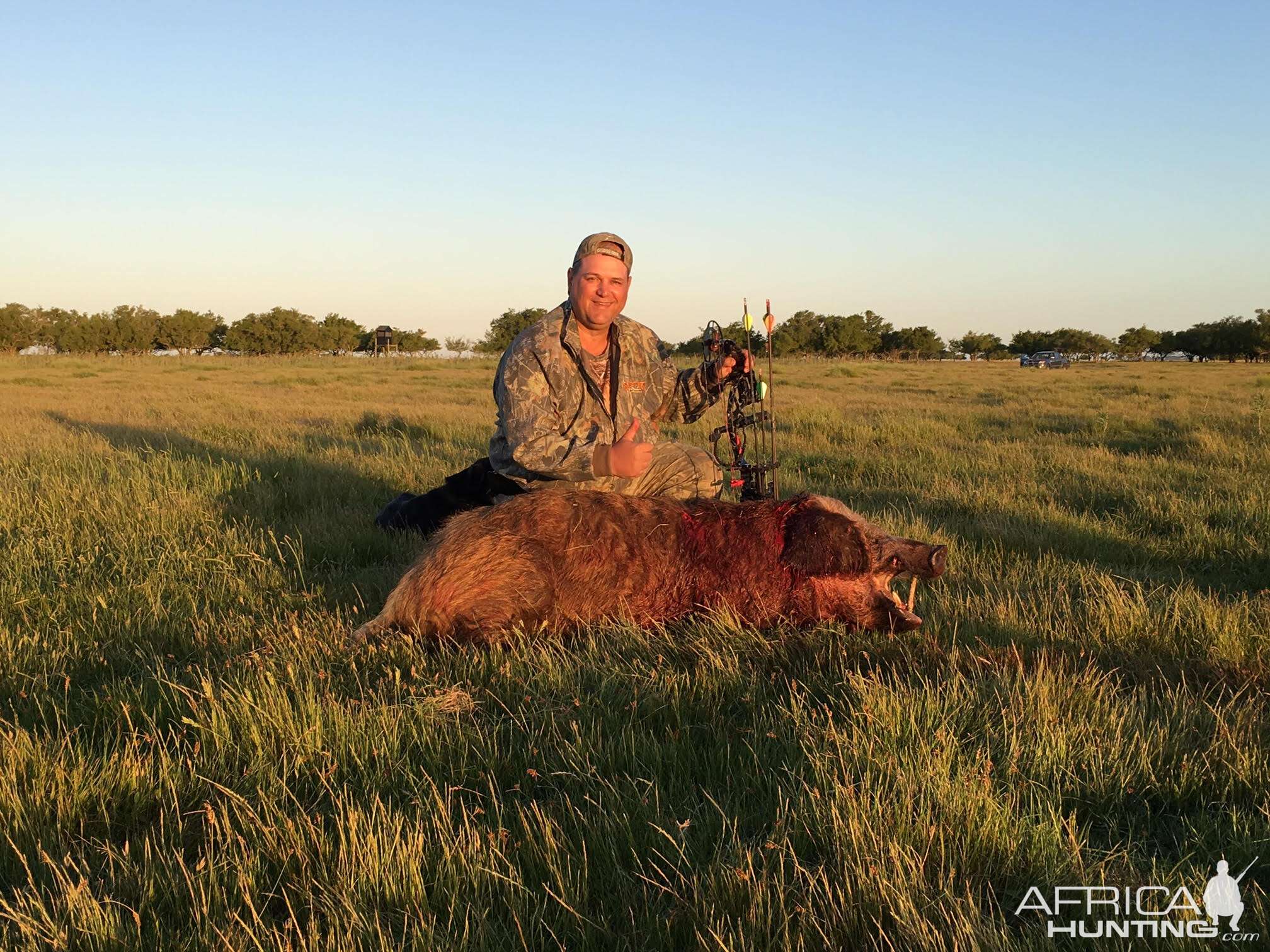 Argentina Bow Hunt Wild Boar