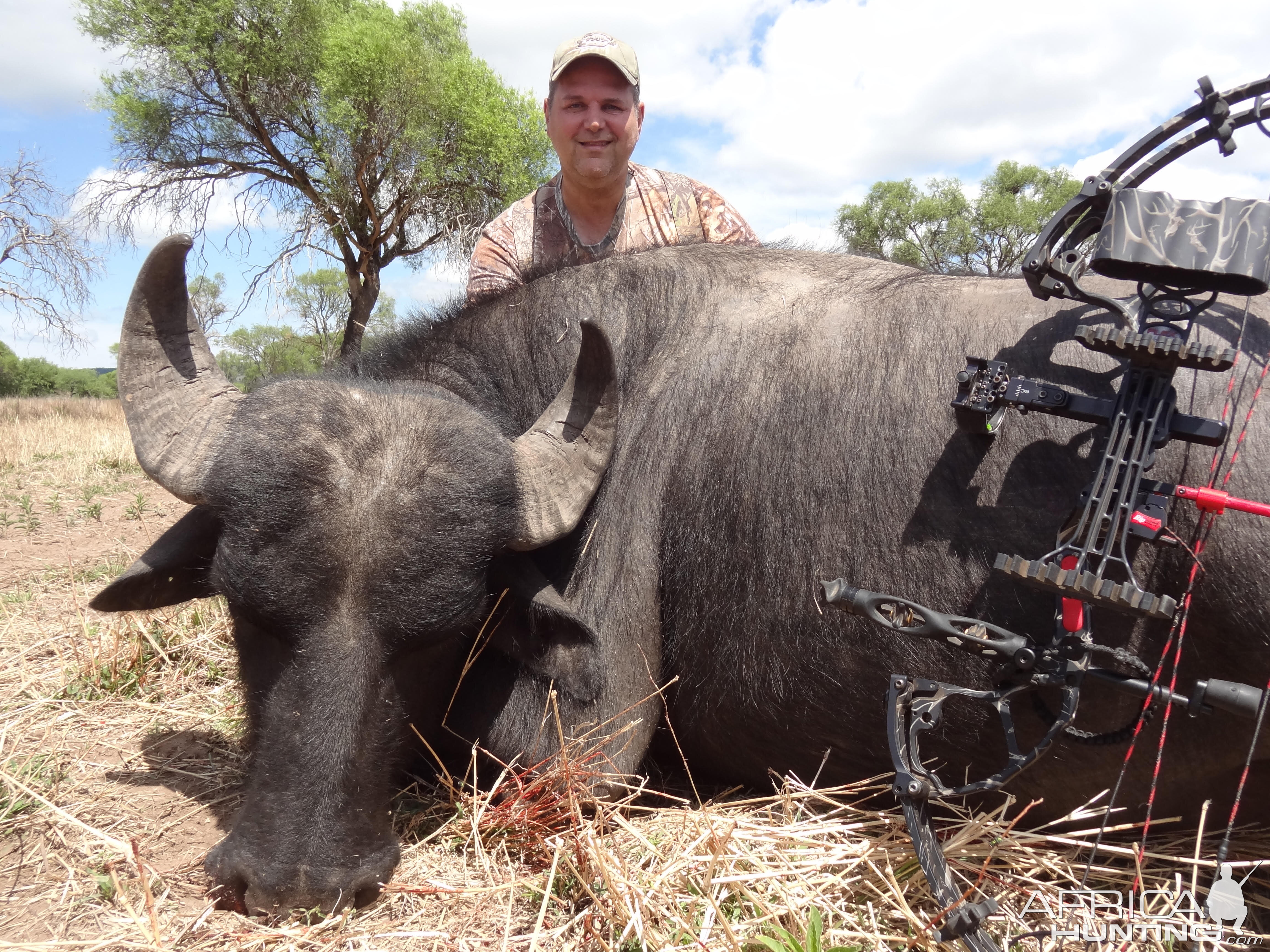 Argentina Bow Hunting Water Buffalo