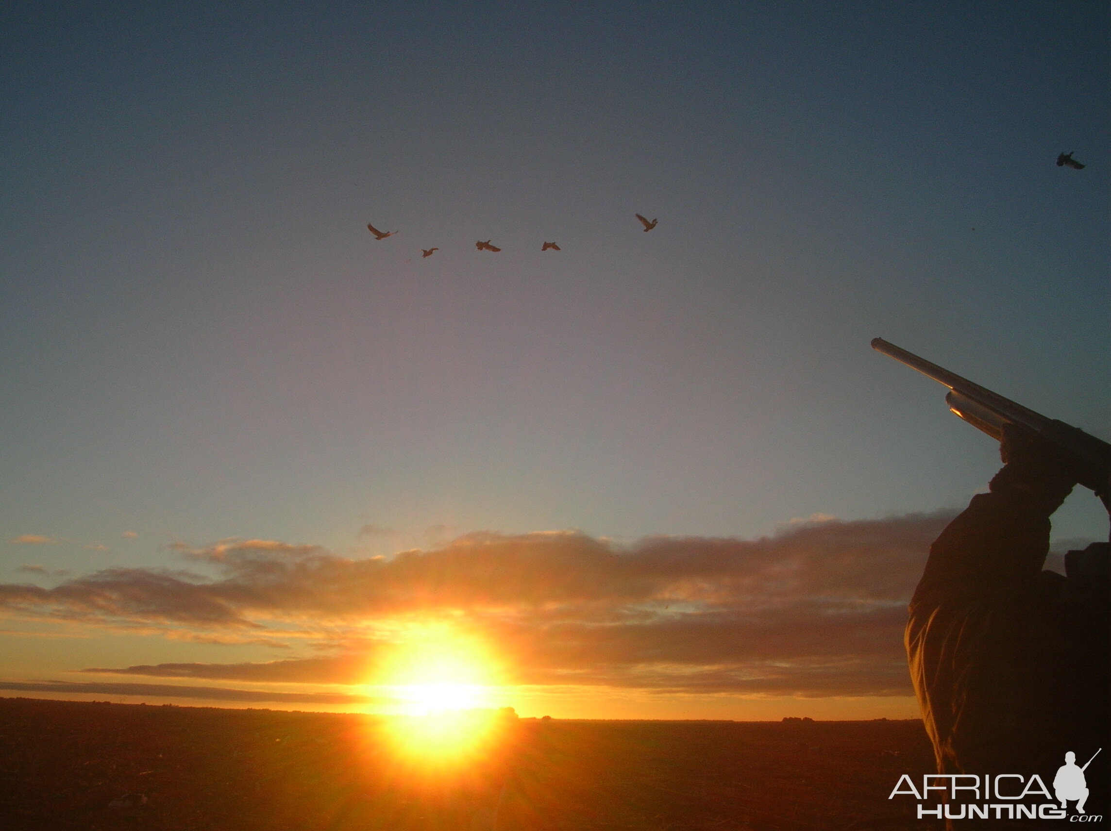 Argentina Duck Hunt