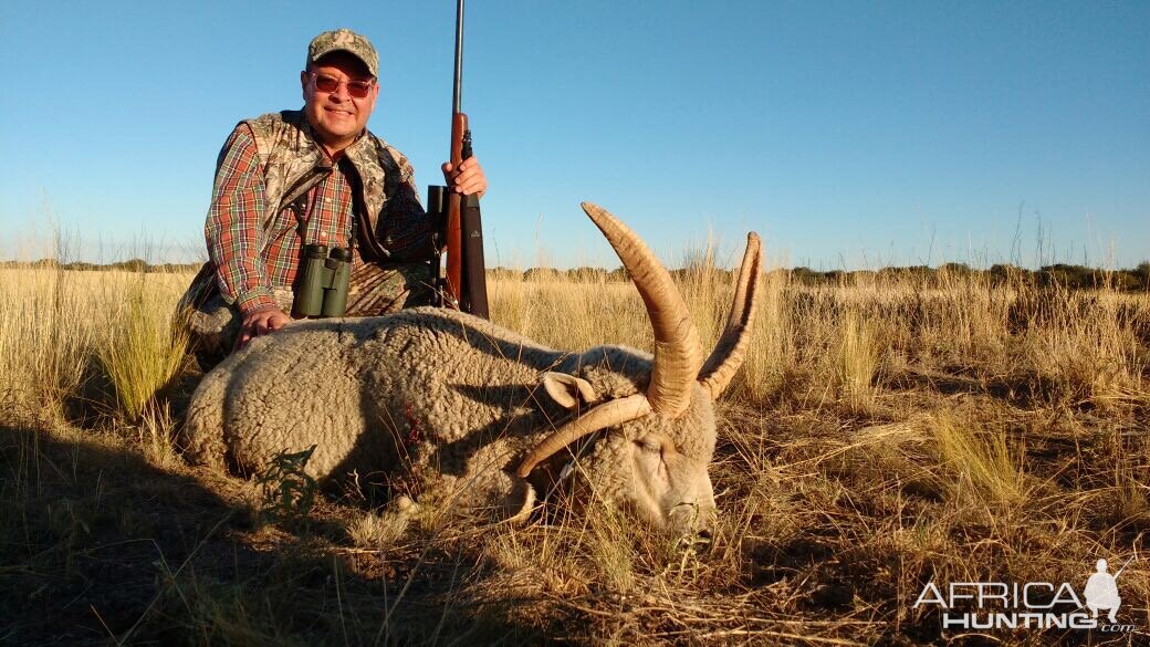 Argentina Four Horn Sheep Hunting