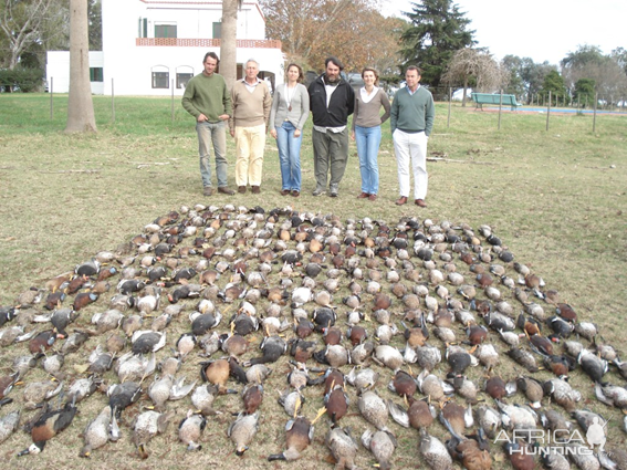 Argentina Hunt Duck