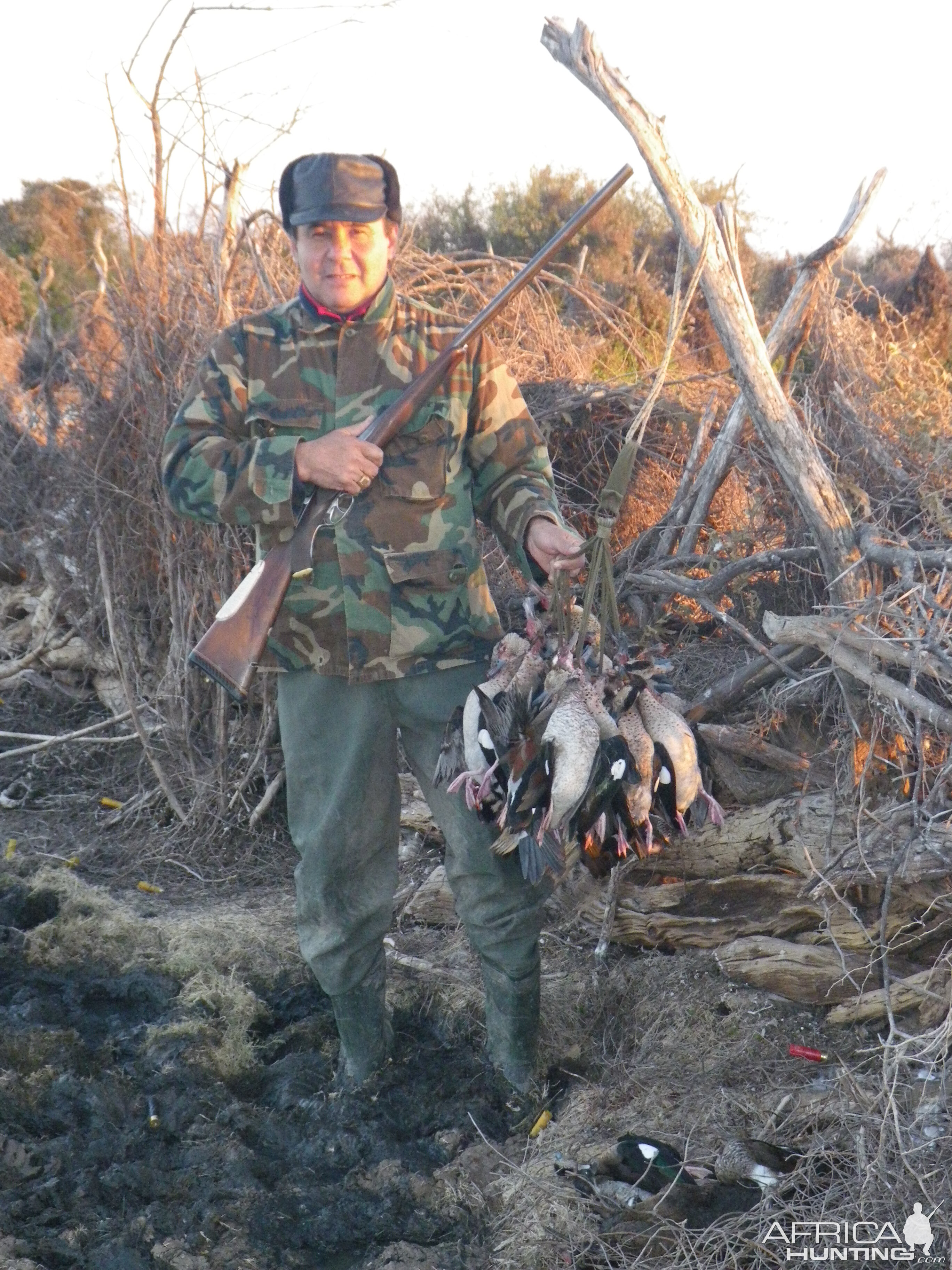 Argentina Hunt Duck