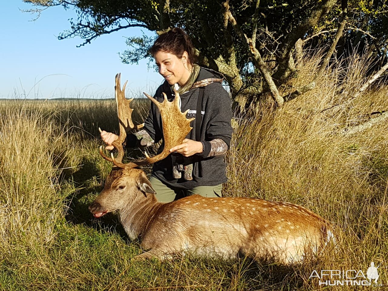 Argentina Hunt Fallow Deer