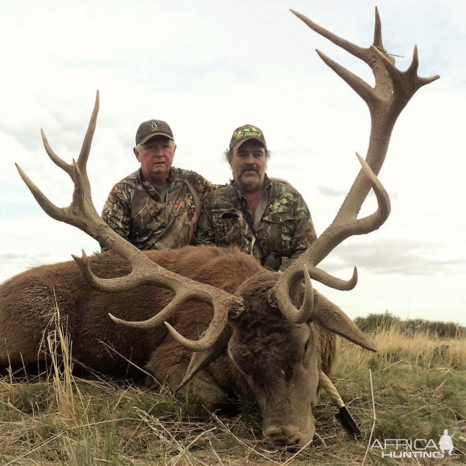 Argentina Hunt Red Stag