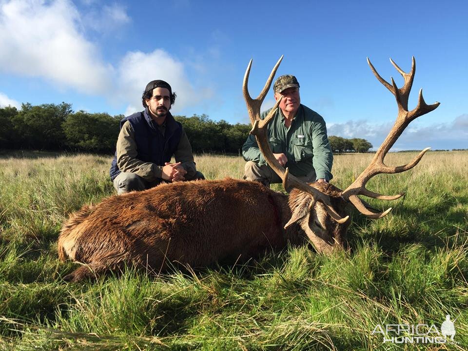 Argentina Hunt Red Stag