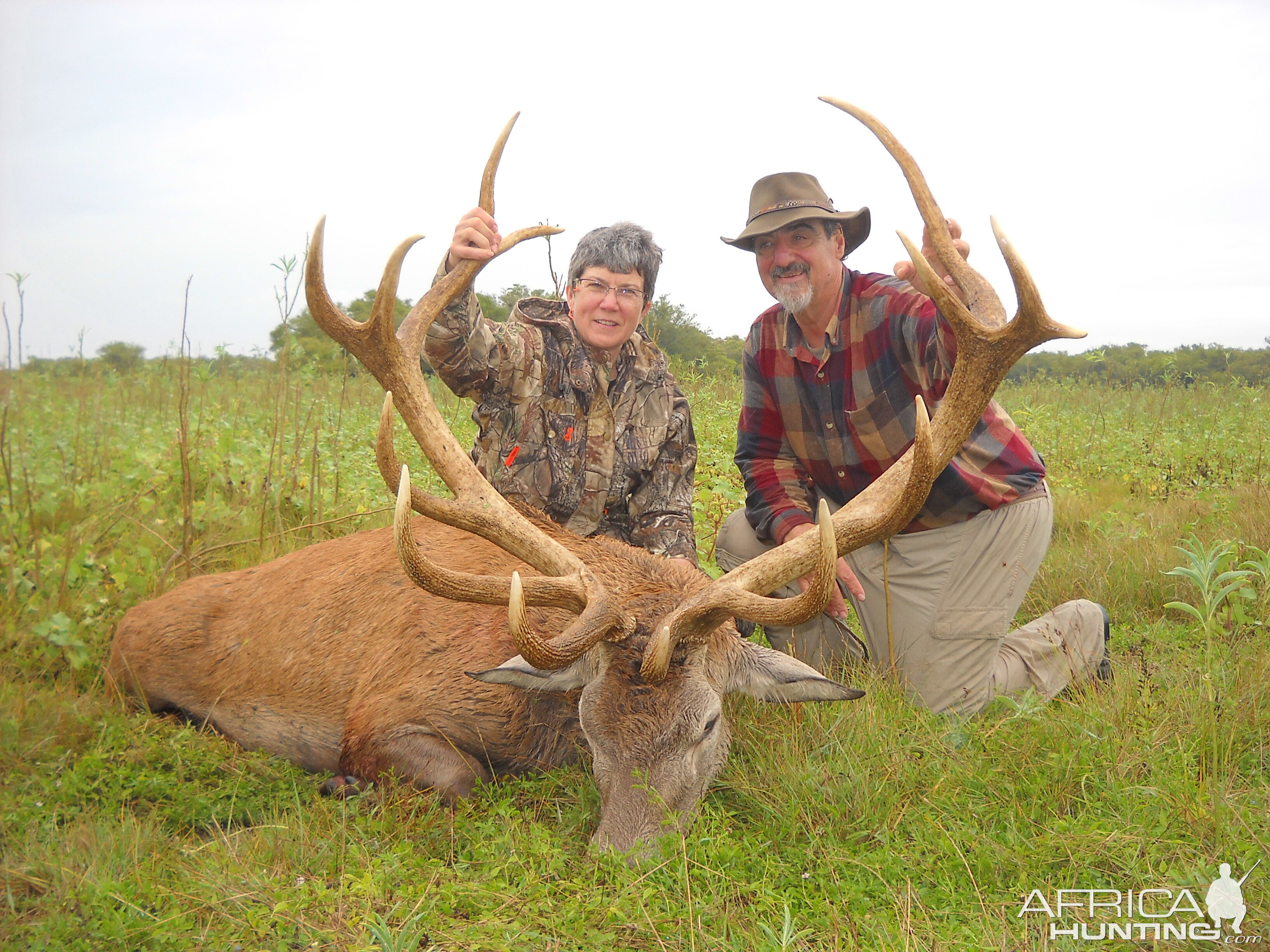 Argentina Hunt Red Stag