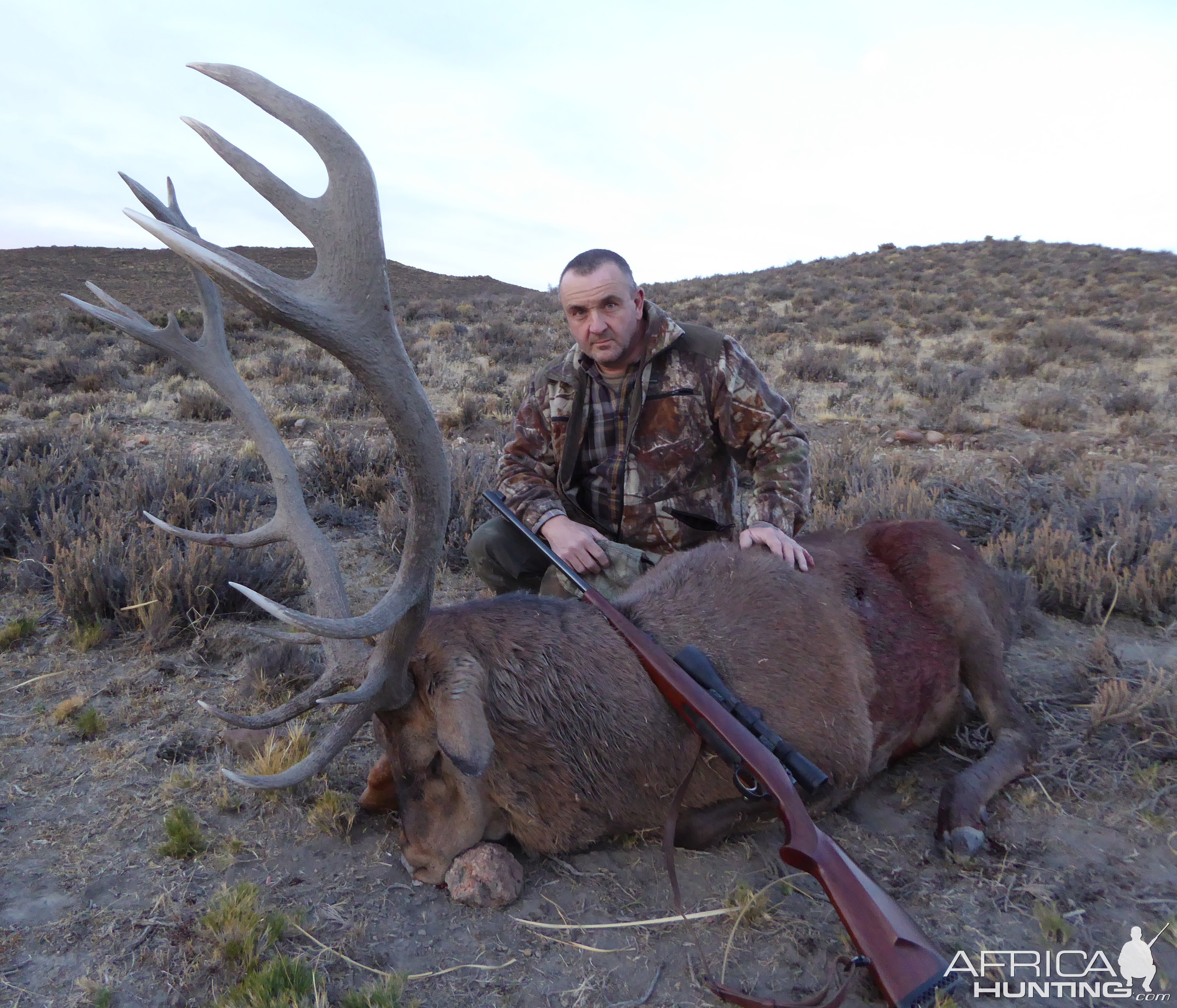 Argentina Hunt Red Stag