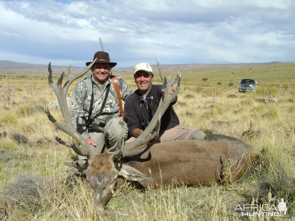 Argentina Hunt Red Stag