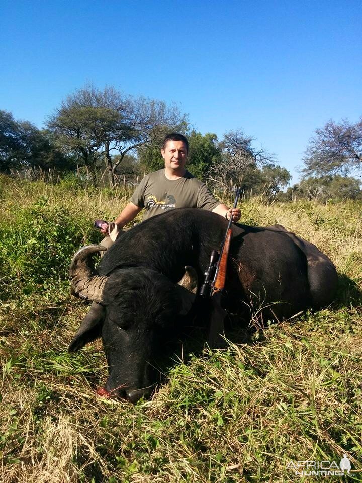 Argentina Hunt Water Buffalo