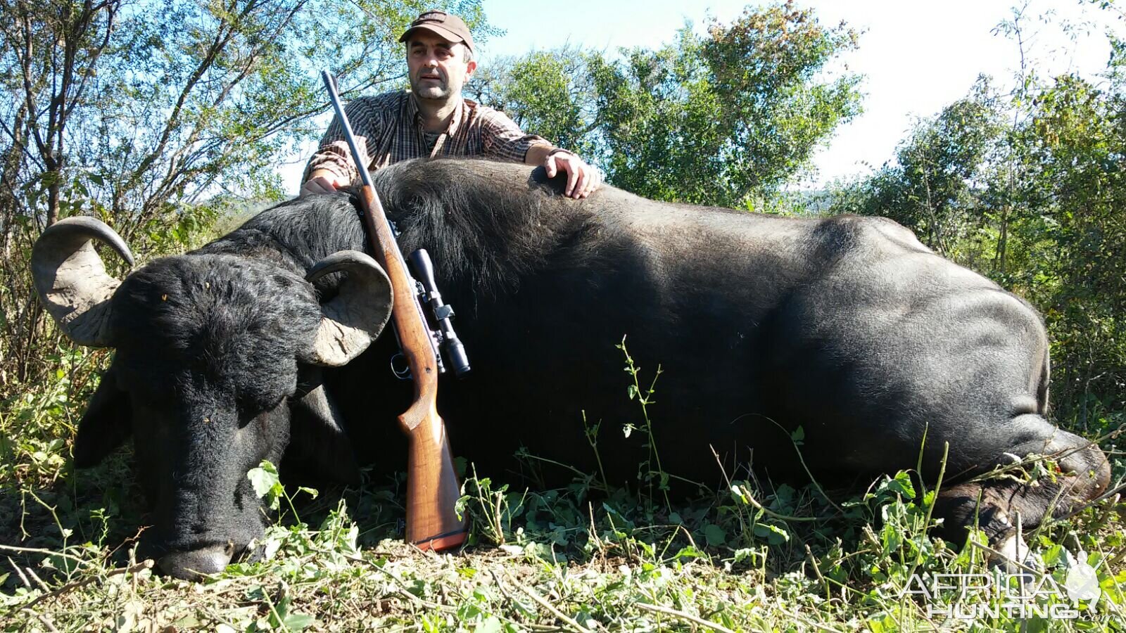 Argentina Hunt Water Buffalo