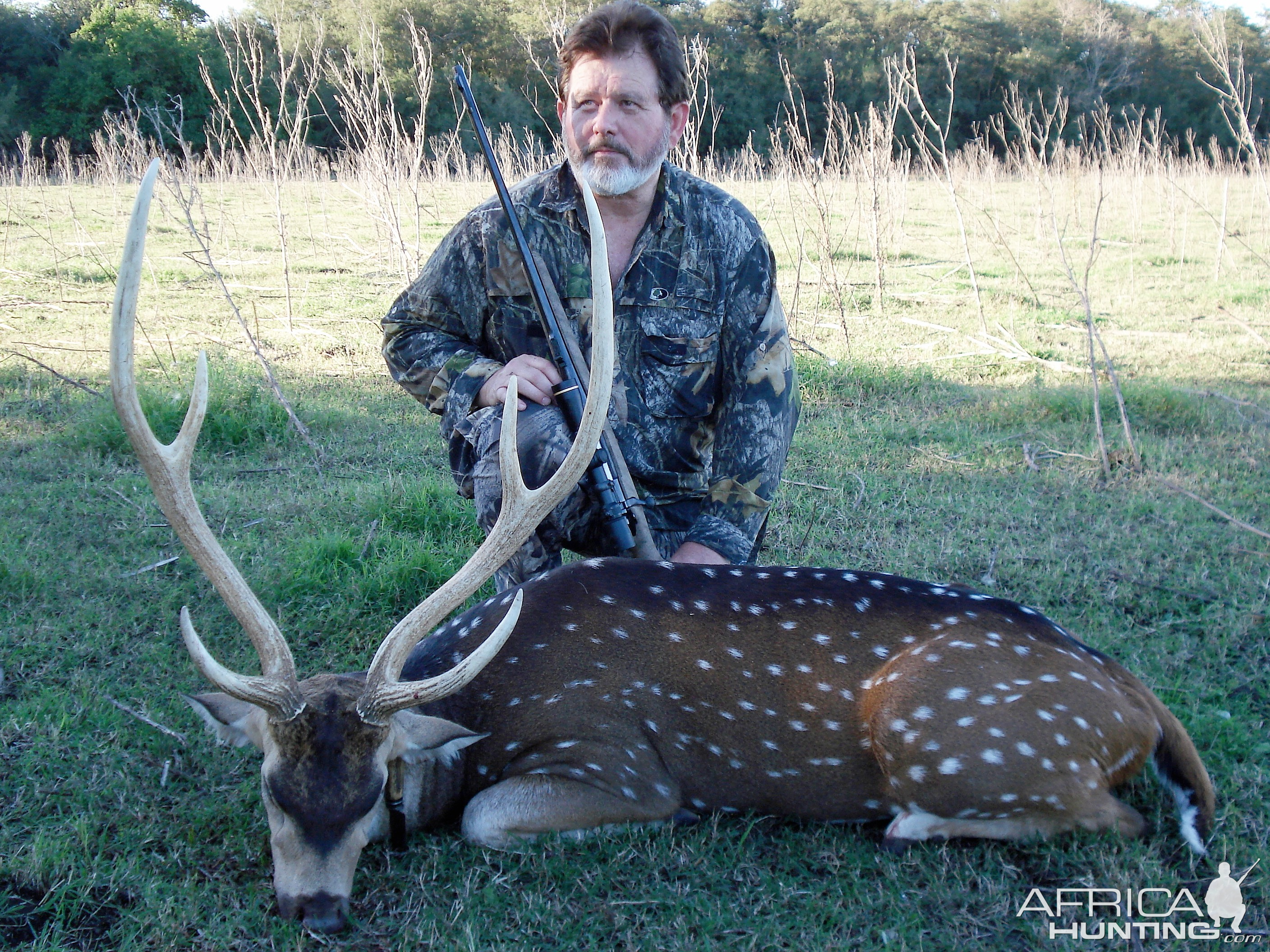 Argentina Hunting Axis Deer