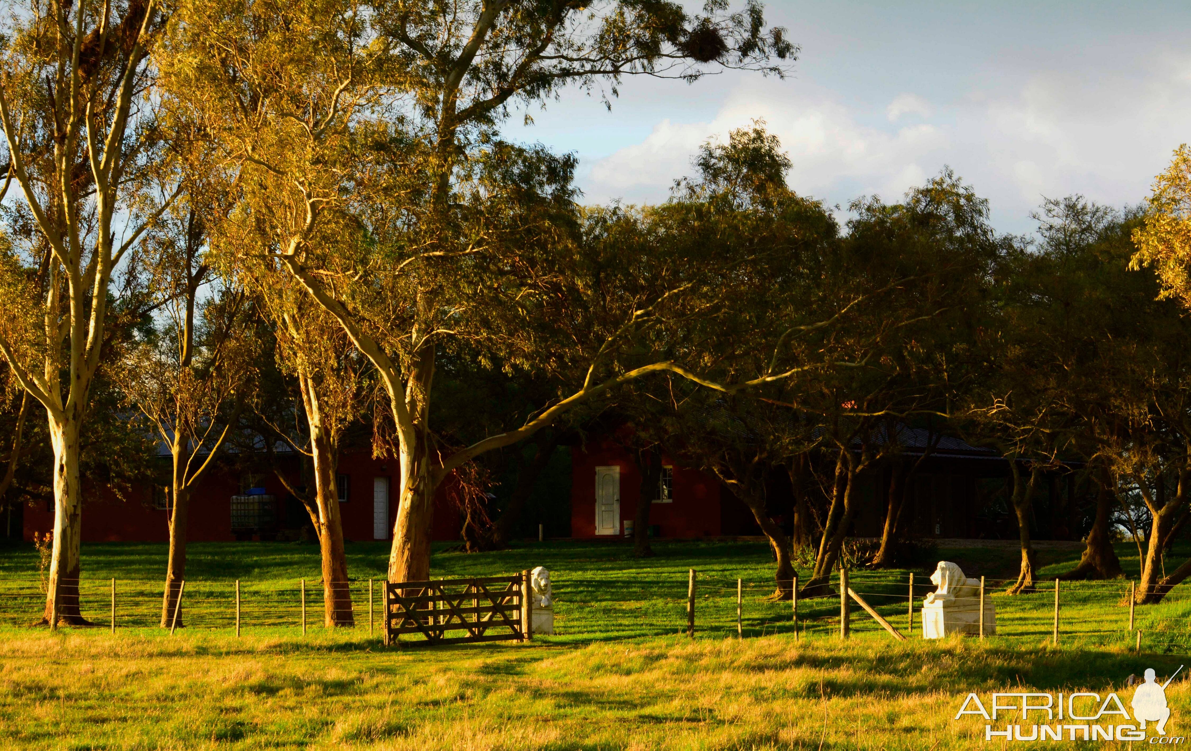 Argentina Hunting Lodge