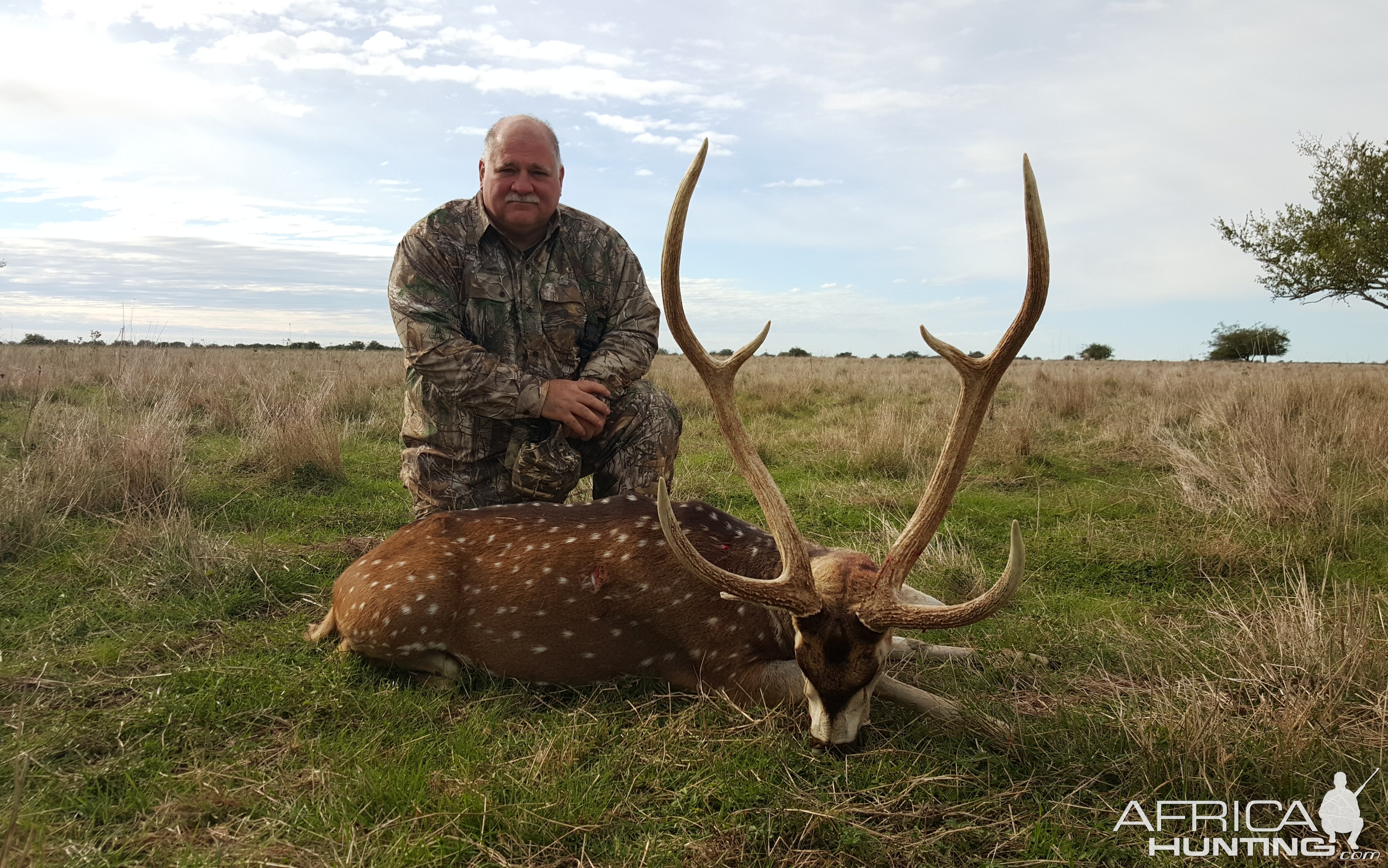 Argentina Hunting Red Stag