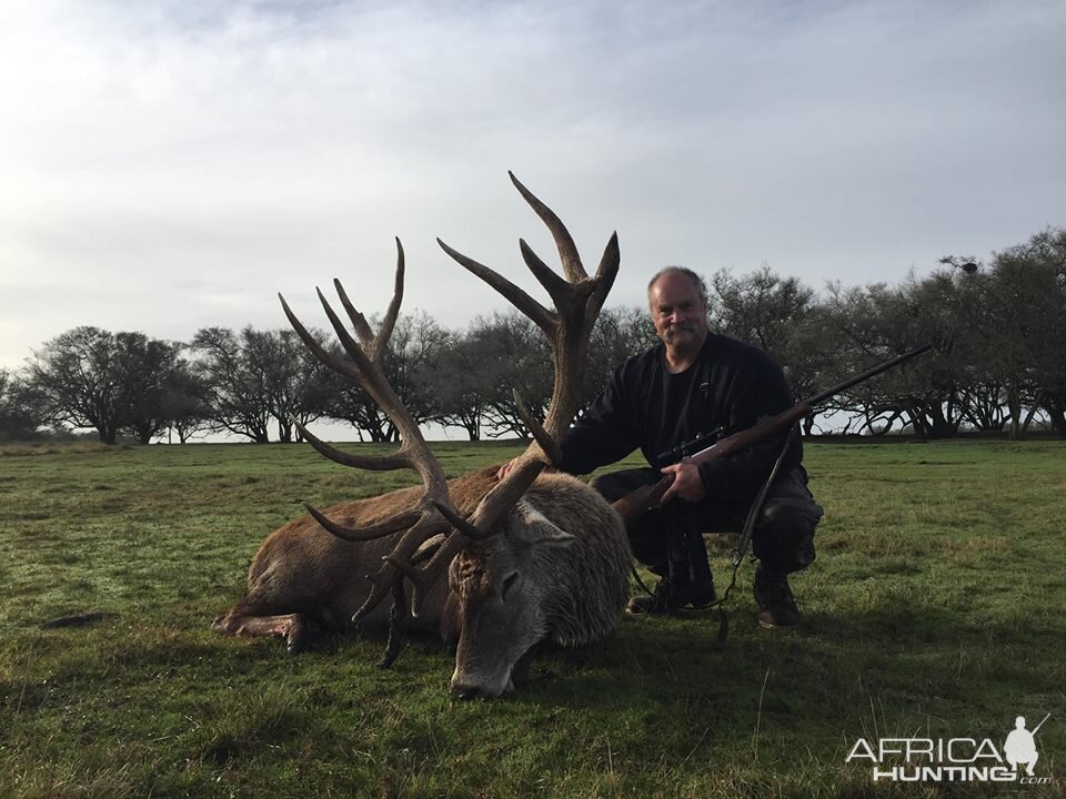 Argentina Hunting Red Stag