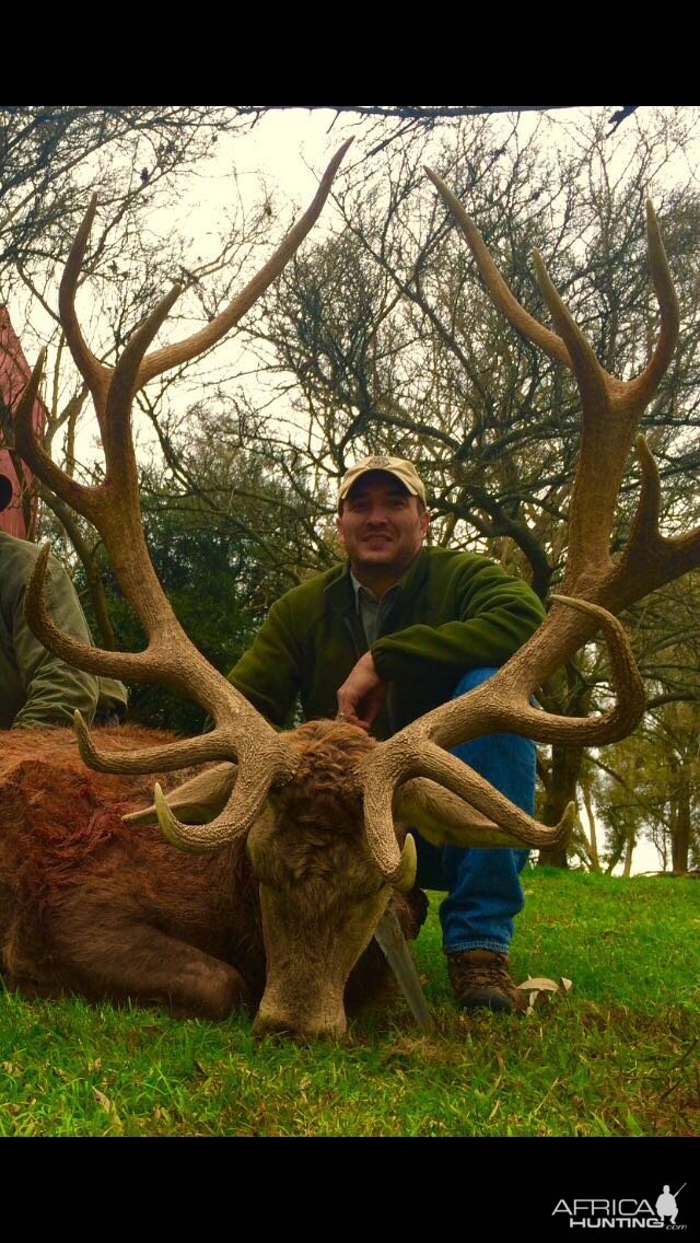 Argentina Hunting Red Stag