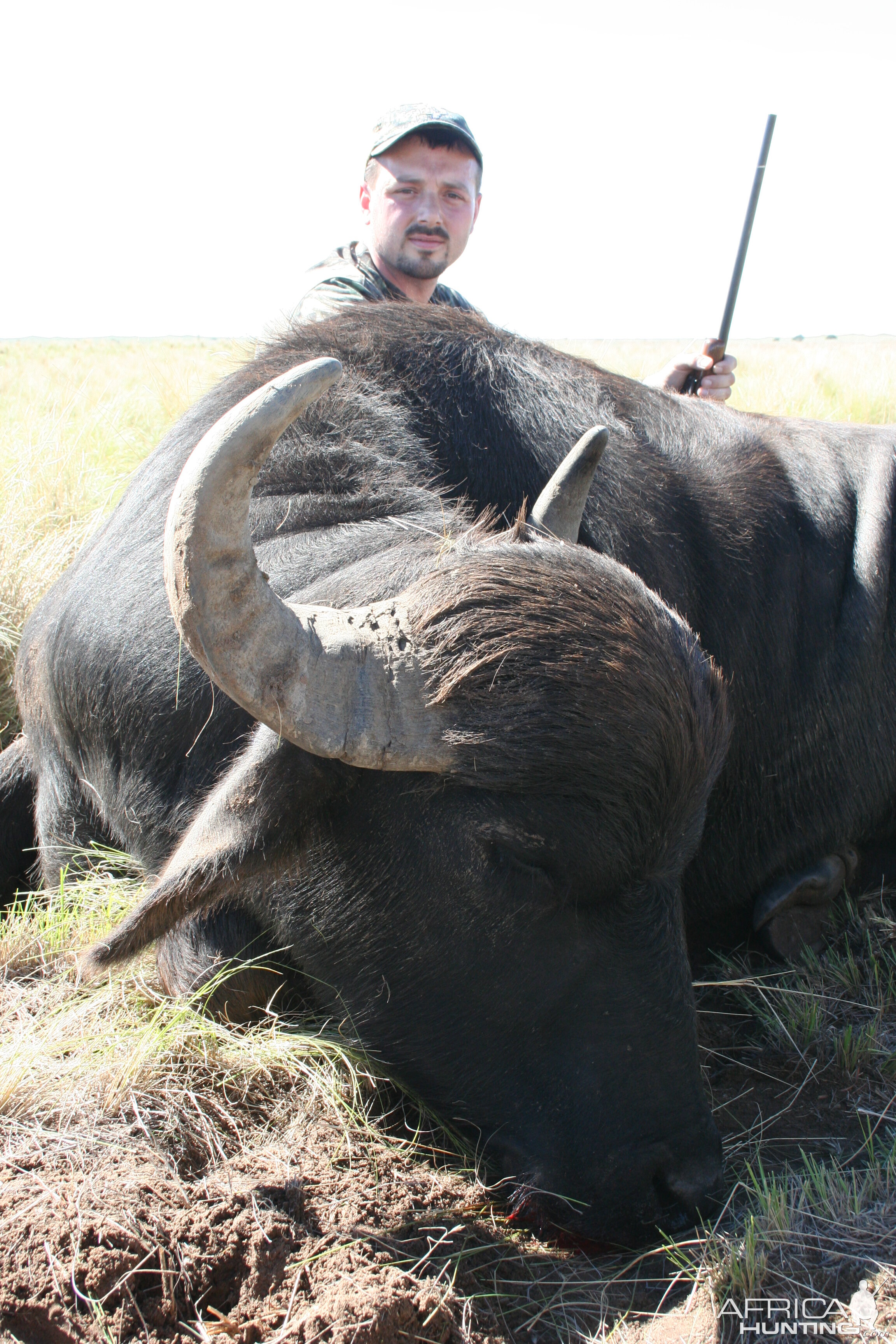 Argentina Hunting Water Buffalo