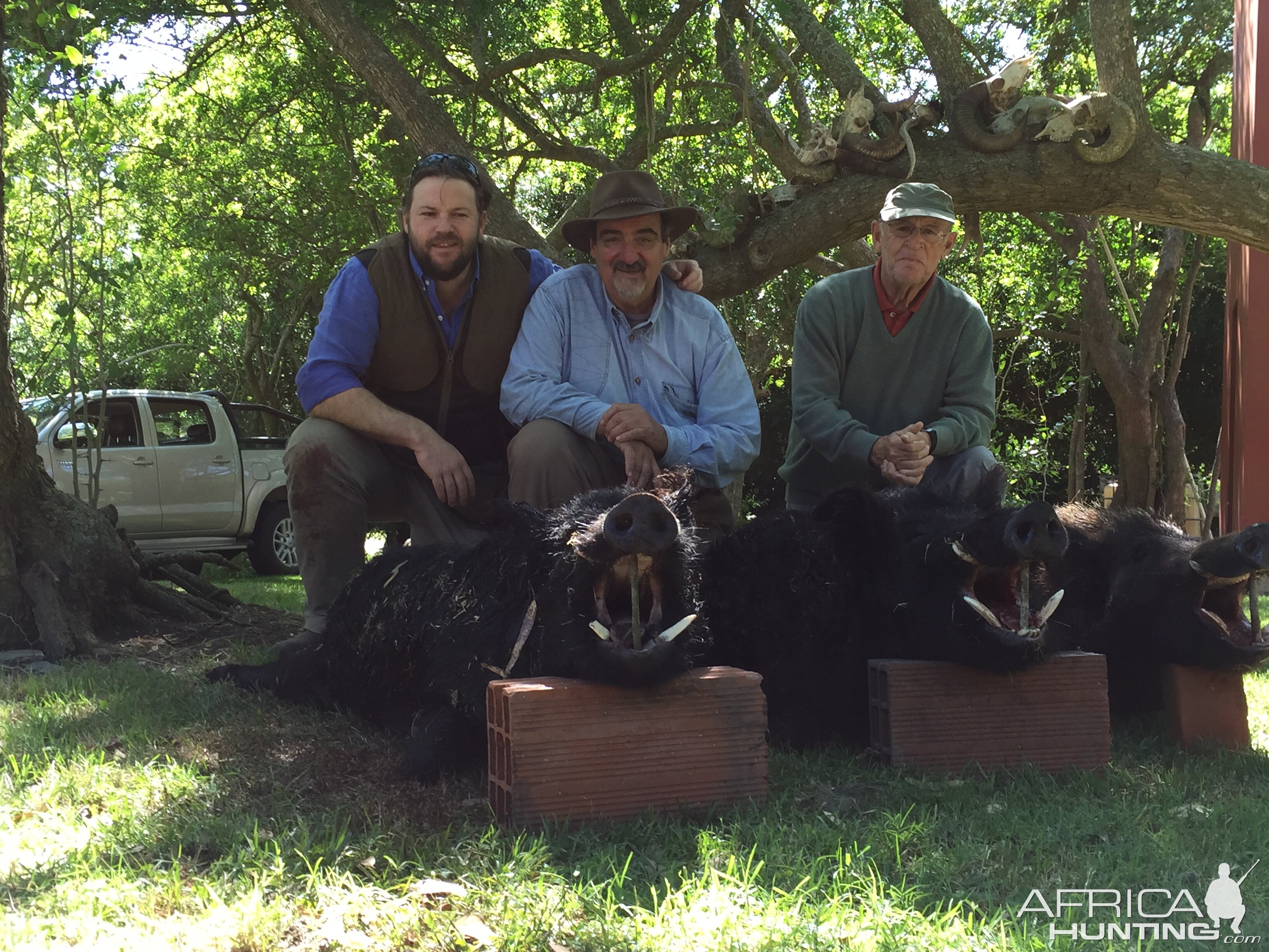 Argentina Hunting Wild Boar