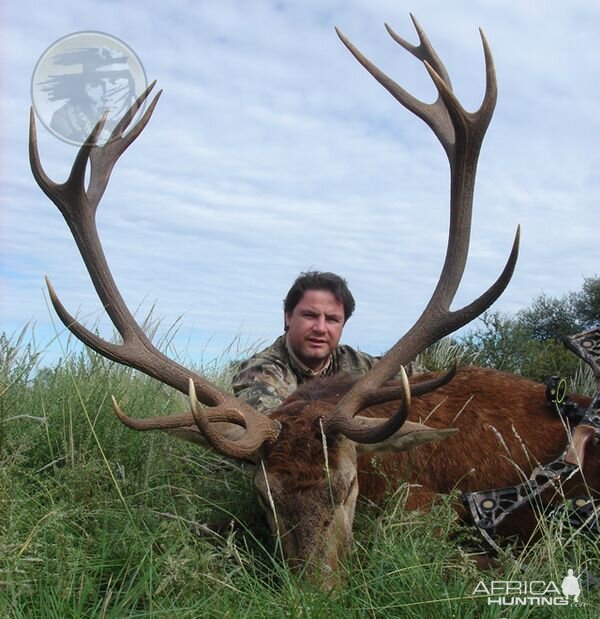 Argentina - La Pampa - Red Stag at Poitahue Hunting Ranch