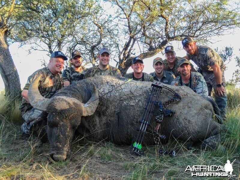 Argentina - La Pampa - water buffalo at Poitahue Hunting Ranch