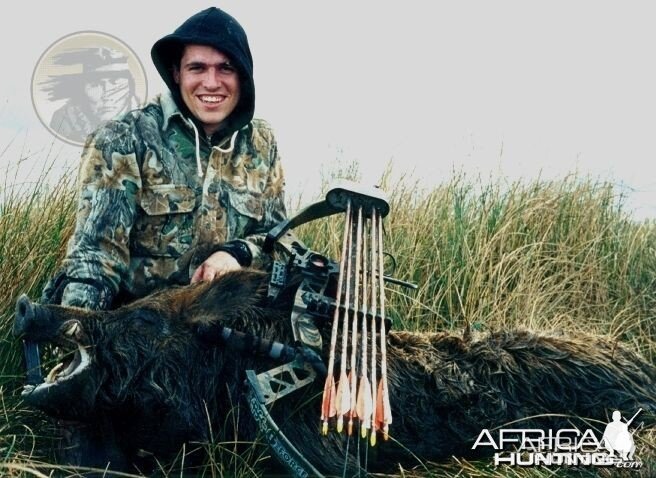 Argentina - La Pampa - wild boar at Poitahue Hunting Ranch