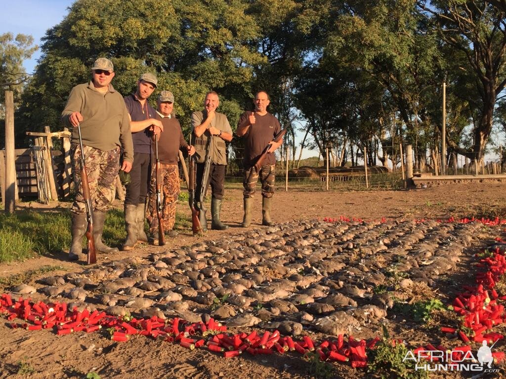 Argentina Wingshooting