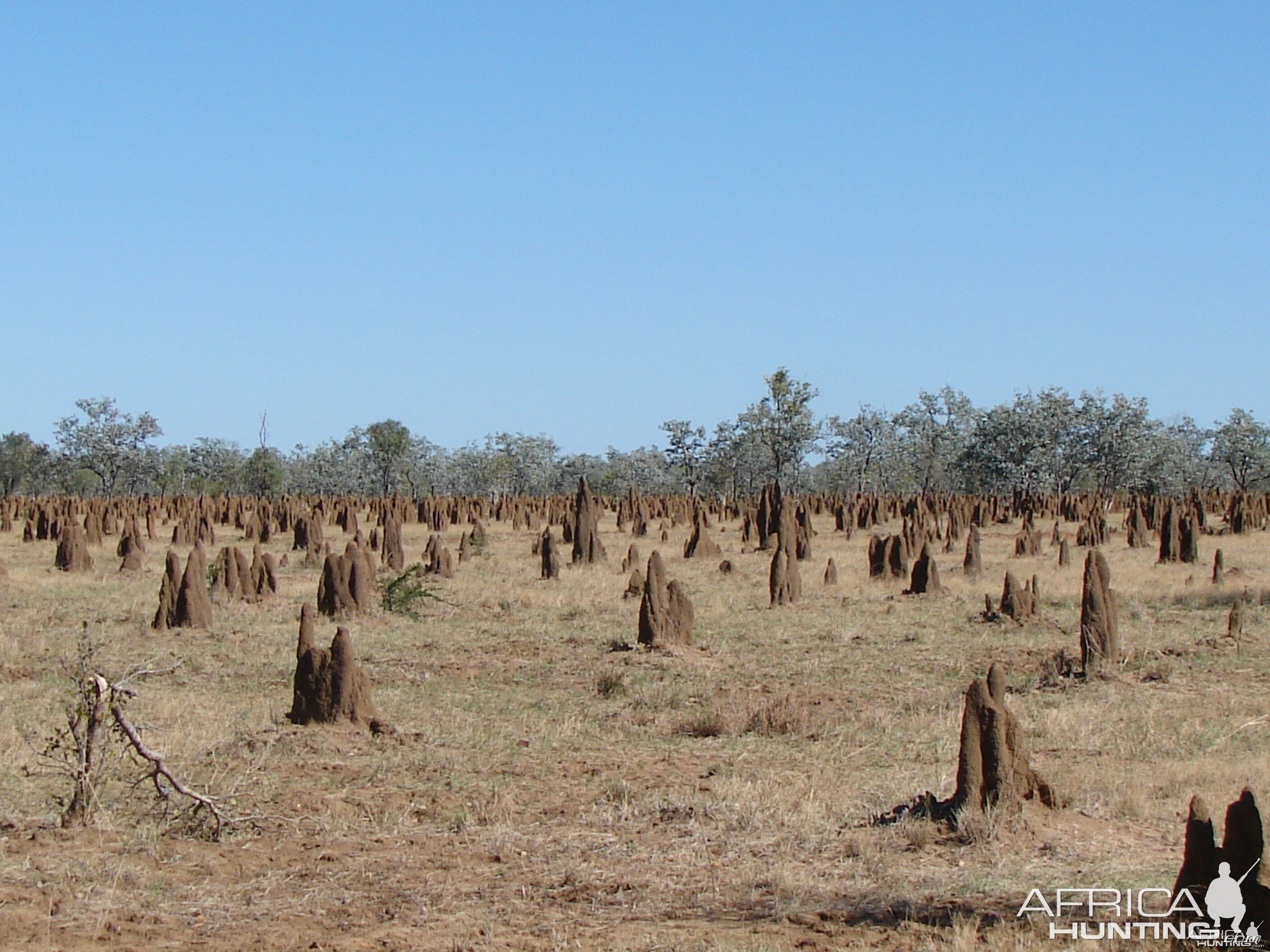 Arnhem Land Australia