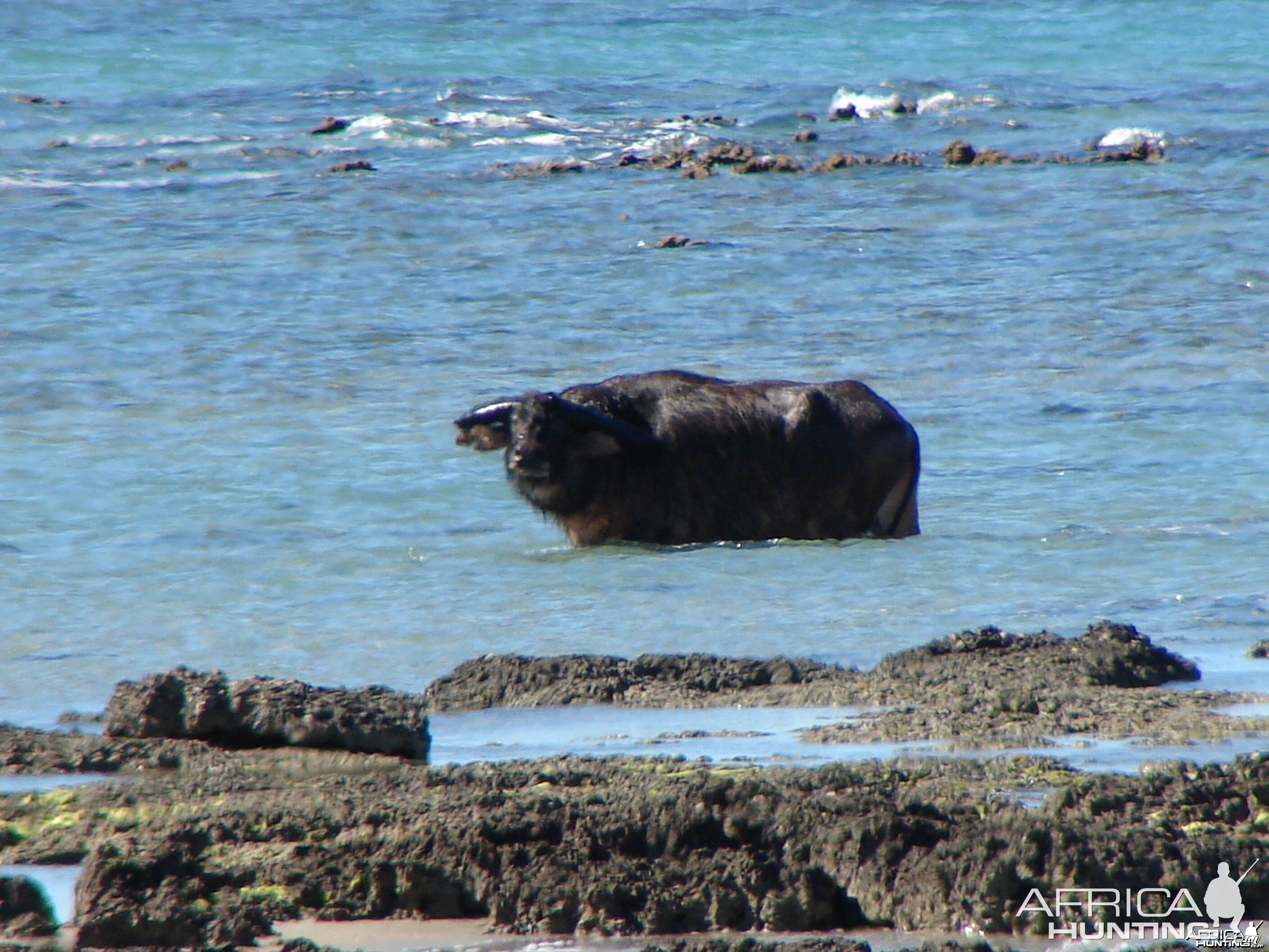 Arnhemland scenery & wildlife.