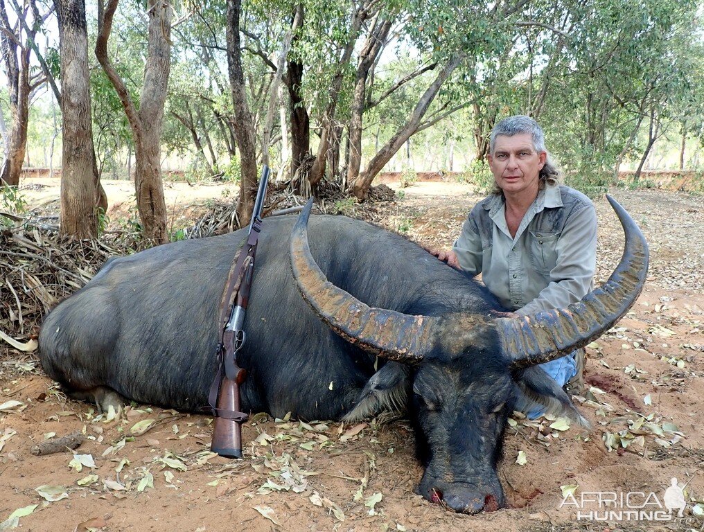 Asiatic Water Buffalo Hunt Australia