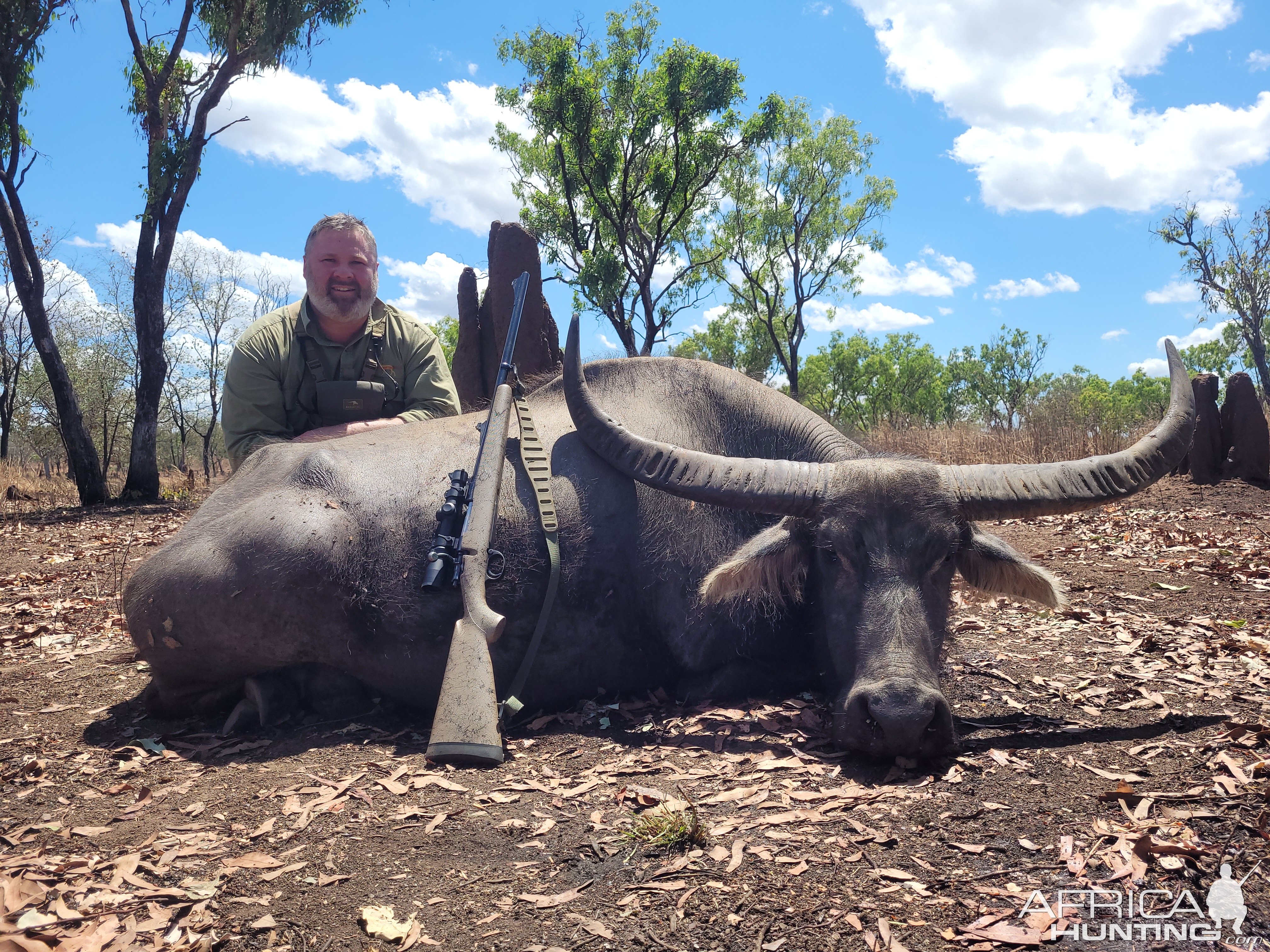 Asiatic Water Buffalo Hunt Australia