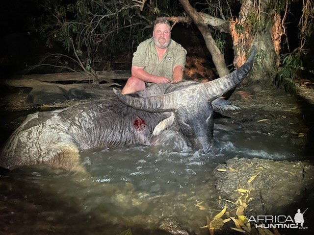 Asiatic Water Buffalo Hunt Australia