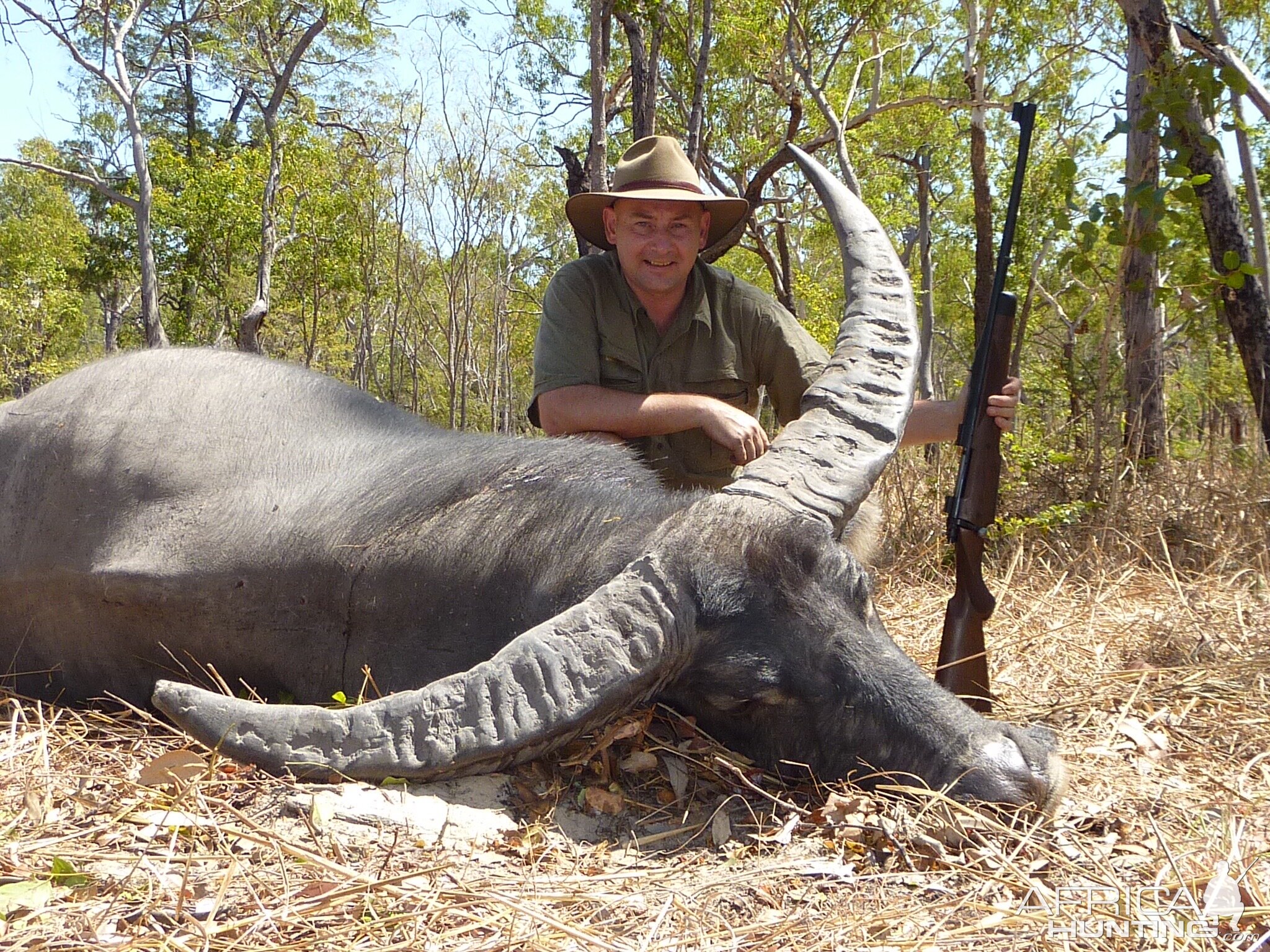 Asiatic Water Buffalo Hunt