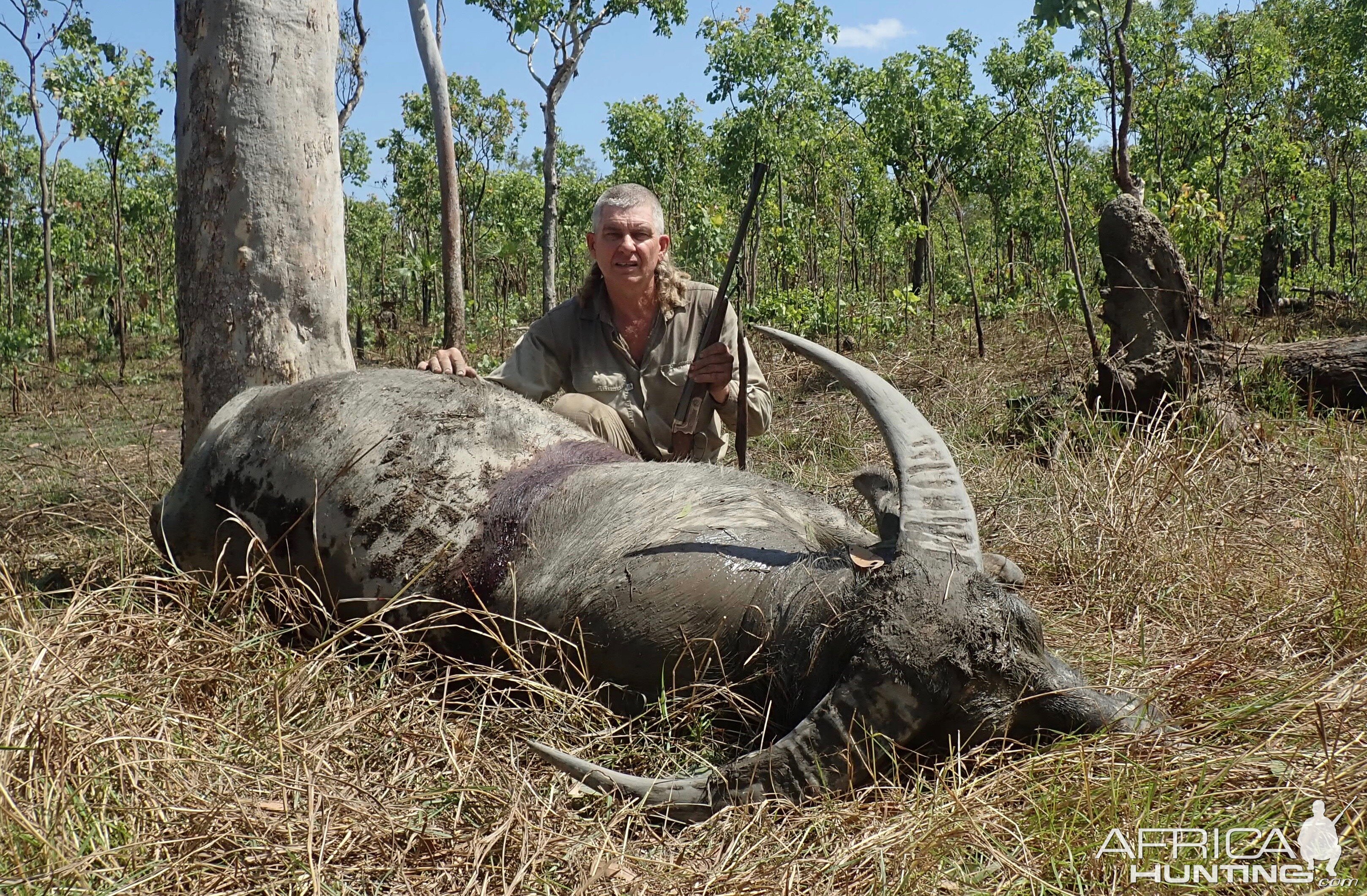 Asiatic Water Buffalo Hunting Australia