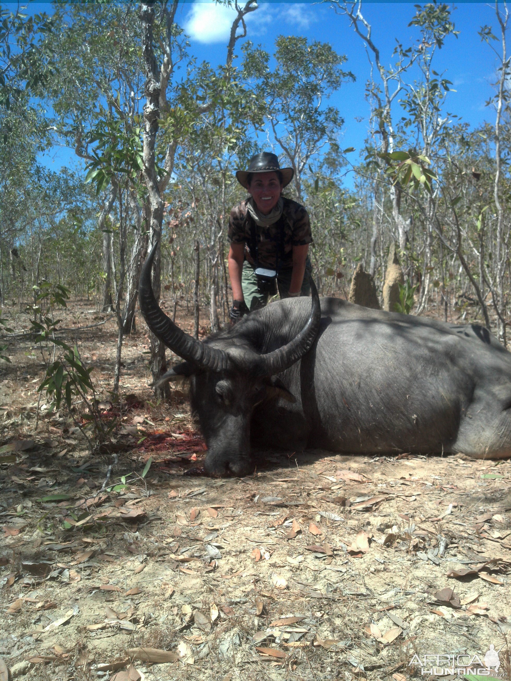 Asiatic Water Buffalo Hunting Australia