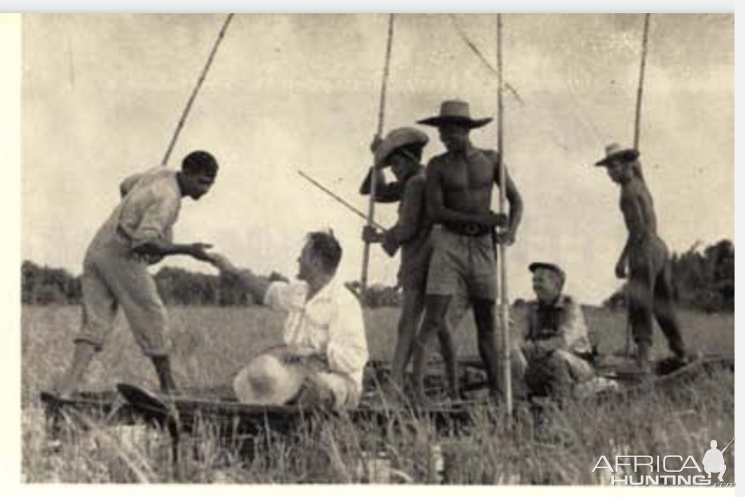 Asiatic Water Buffalo Hunting India