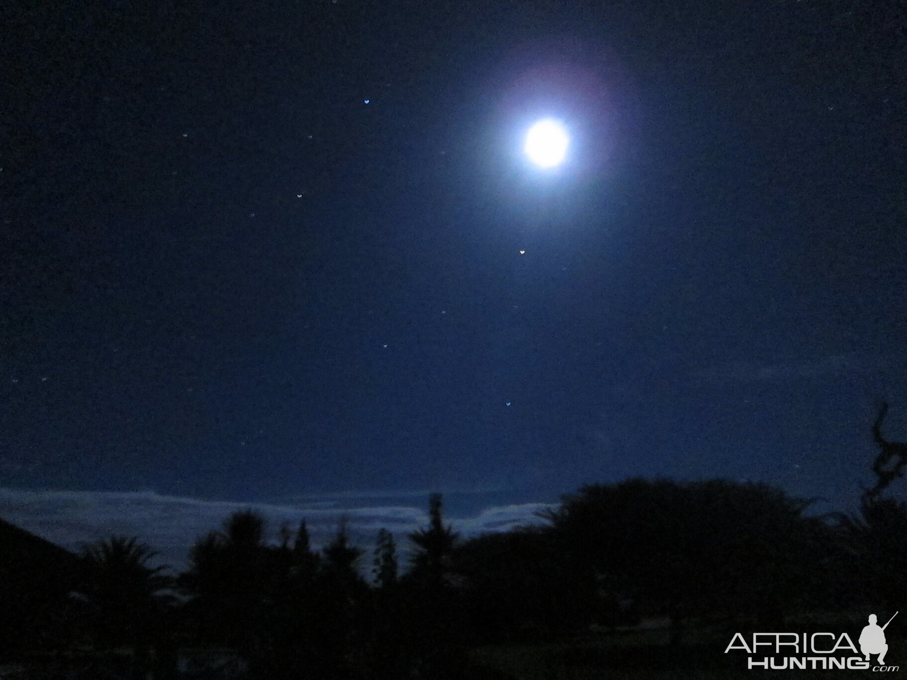 At Night in Namibia