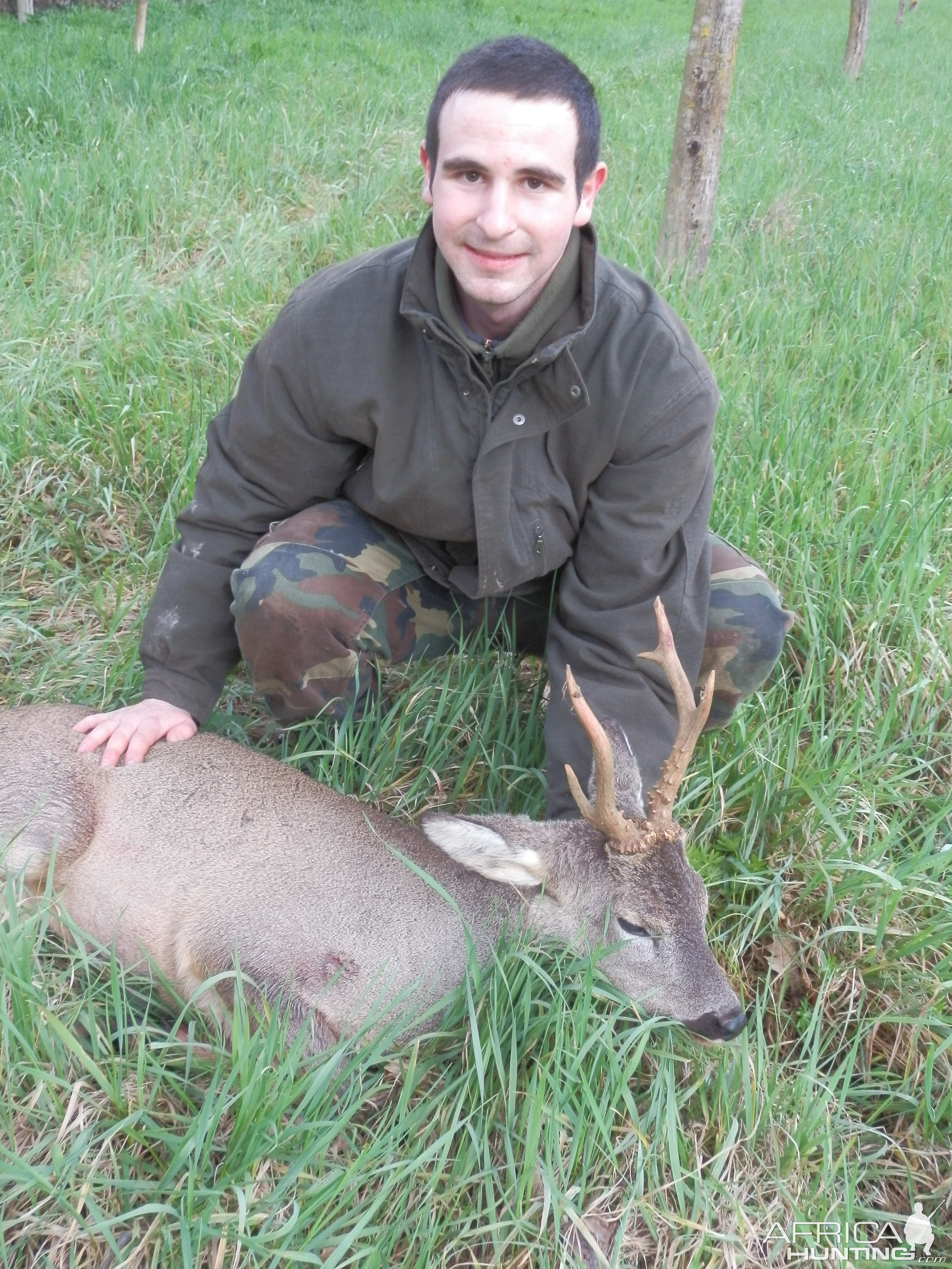 Atypical Roe Deer from Italy