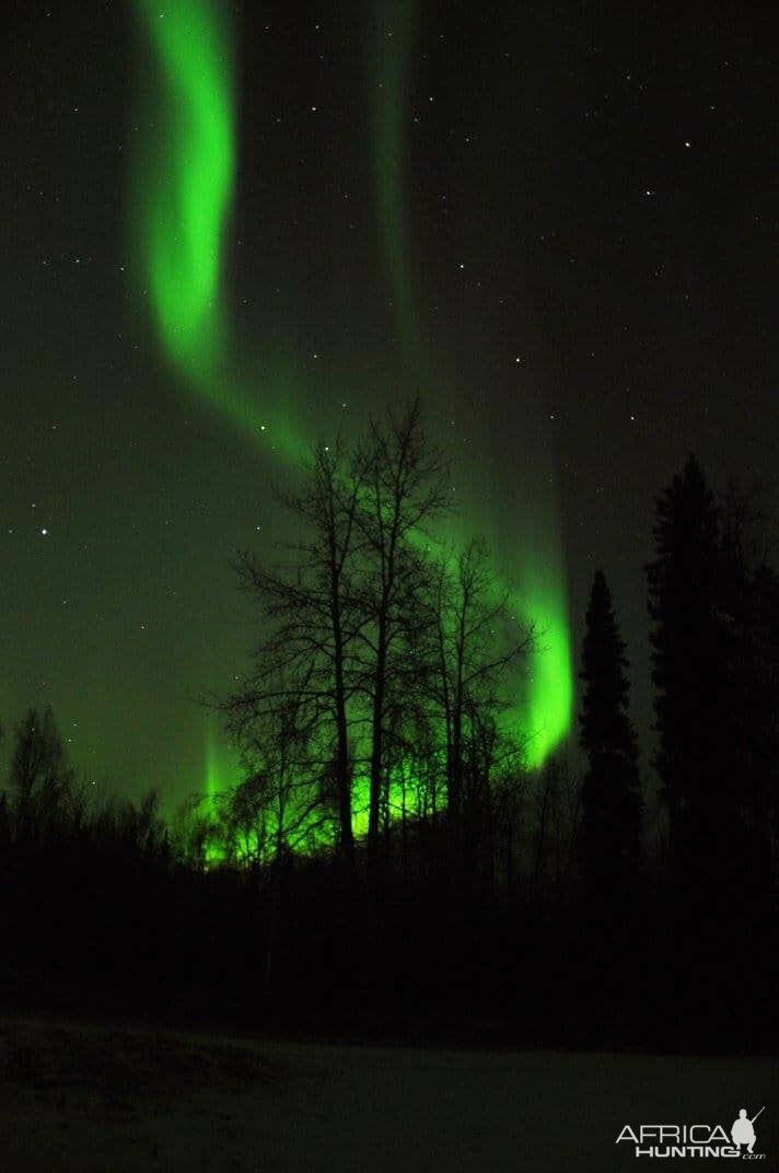 Aurora picture