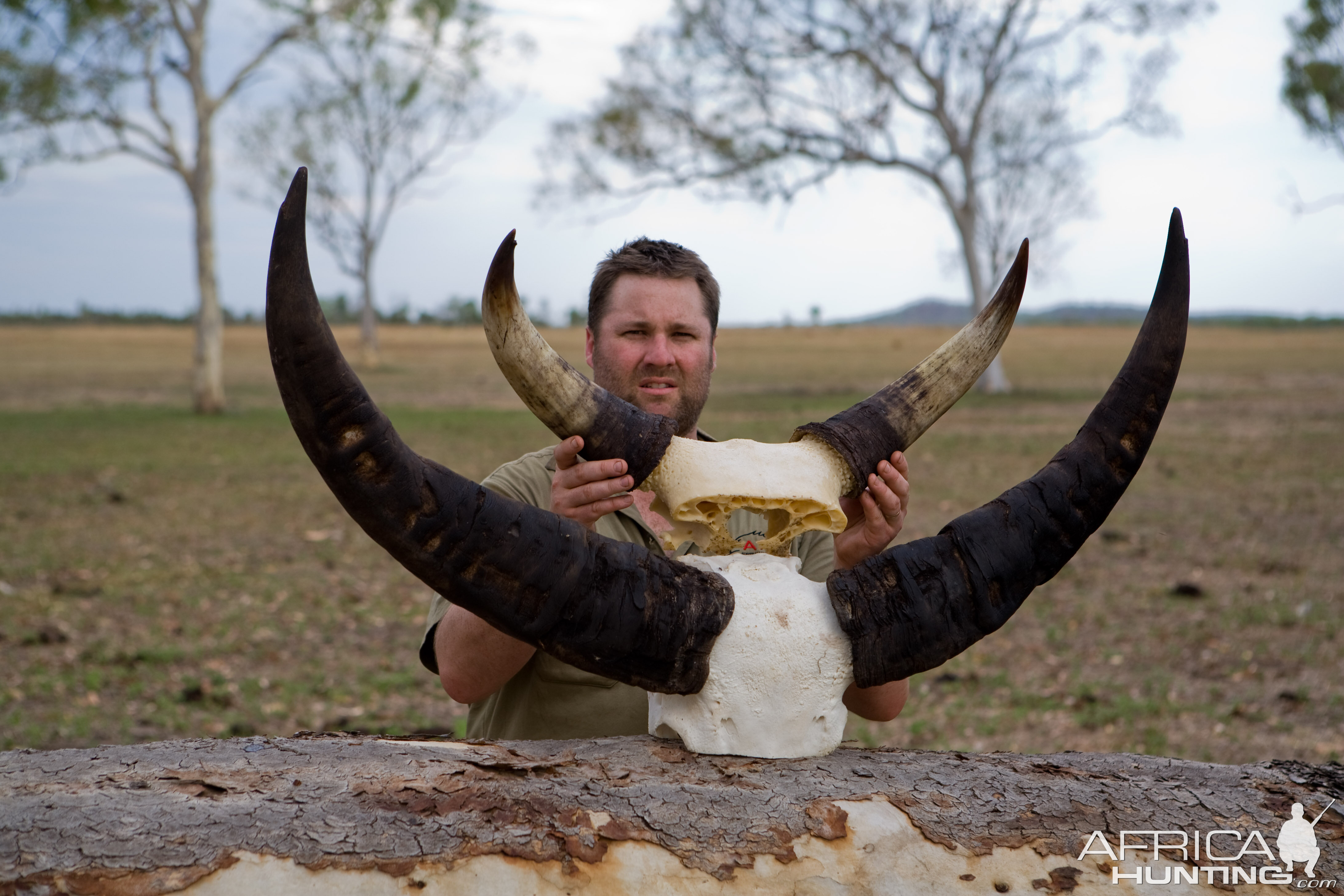 Australia Hunt Asiatic Water Buffalo & Scrub Bull