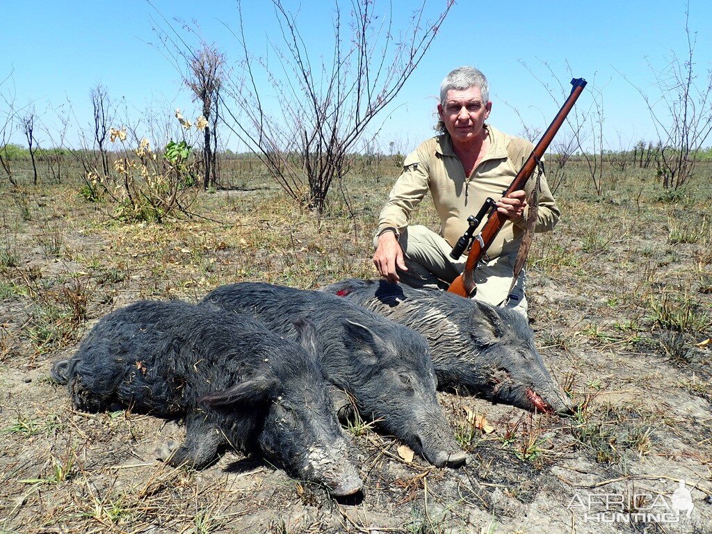 Australia Hunt Boar