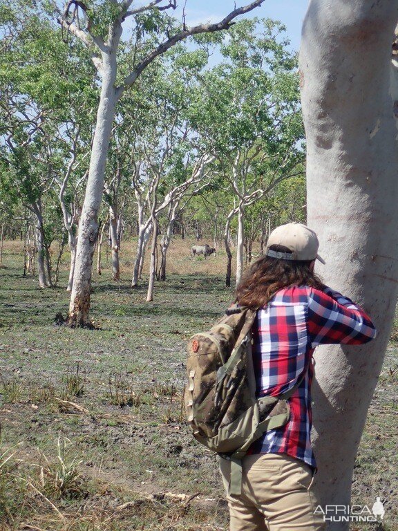 Australian Nature