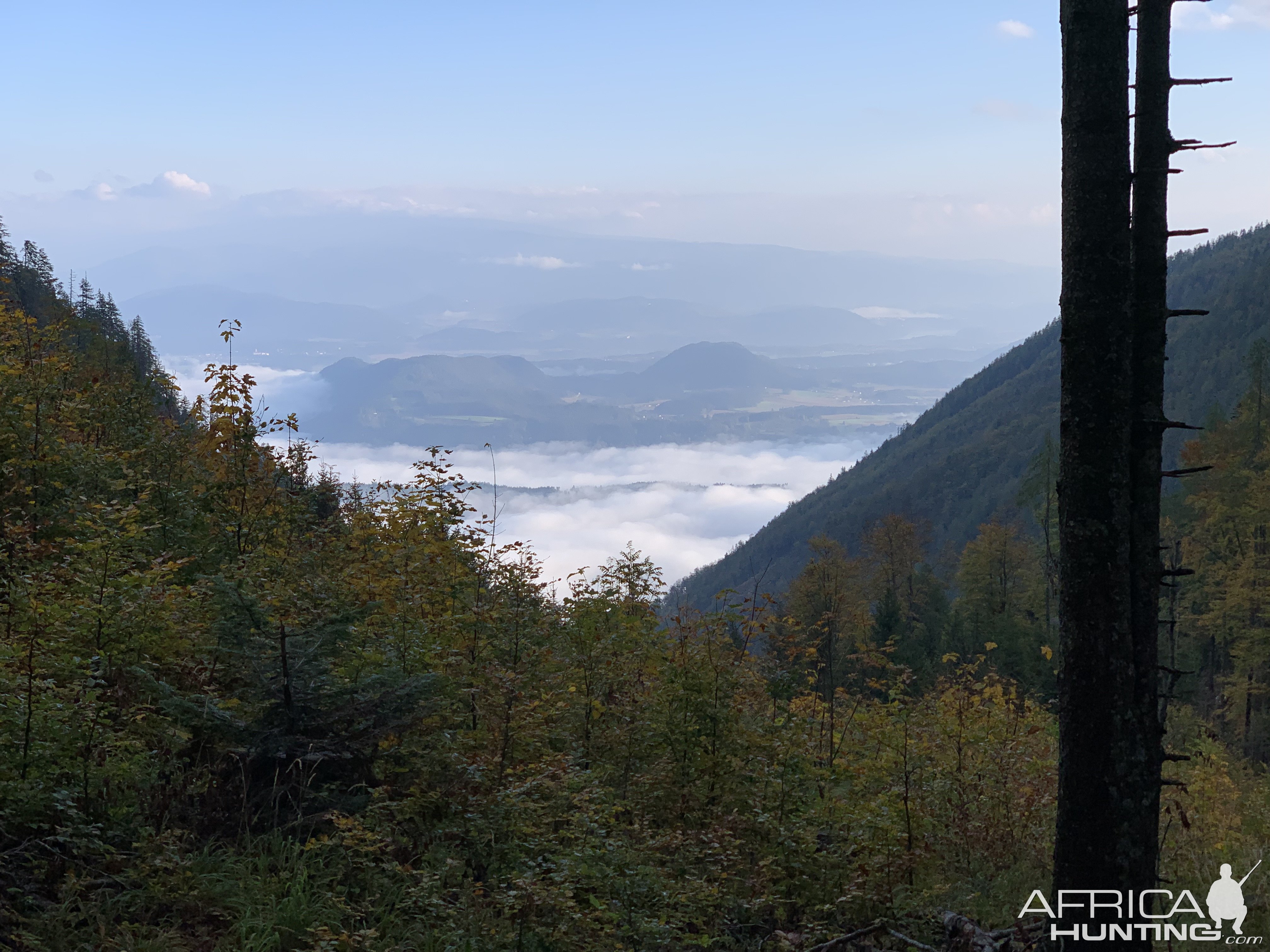 Austrian Landscape