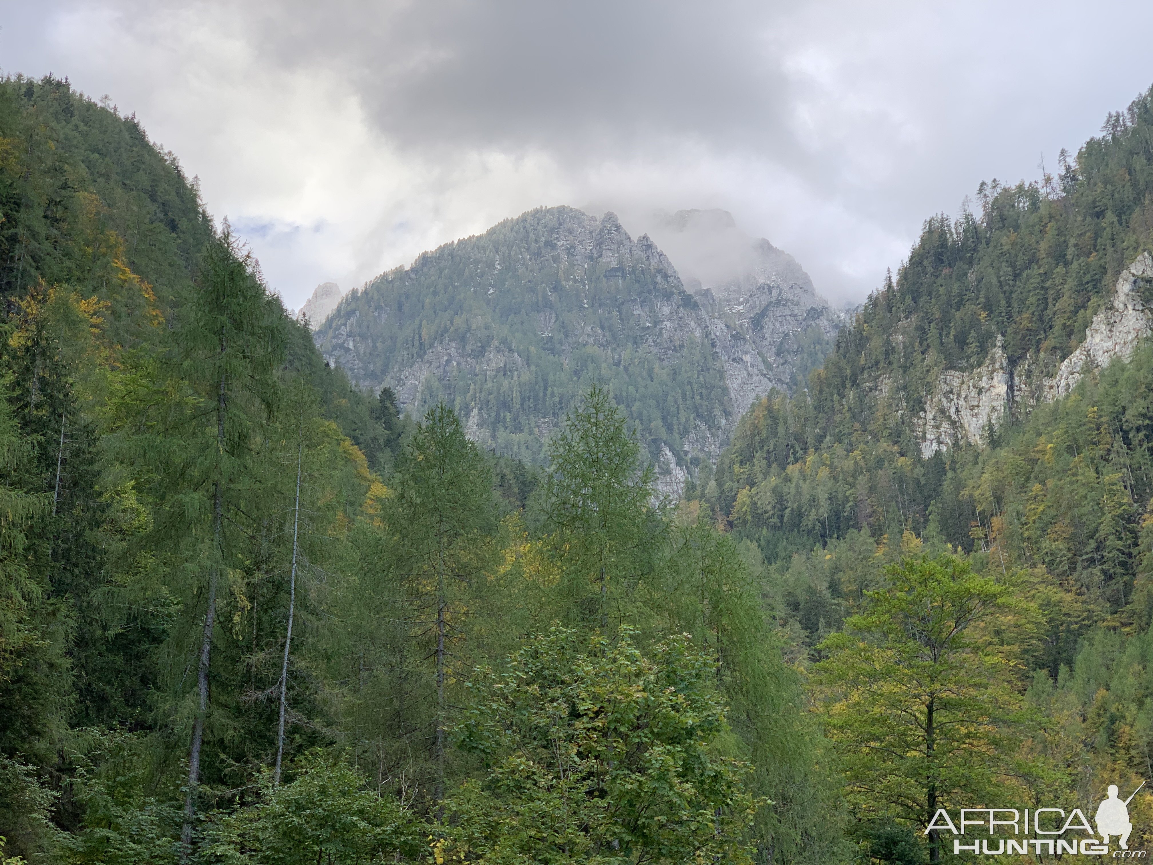 Austrian Landscape